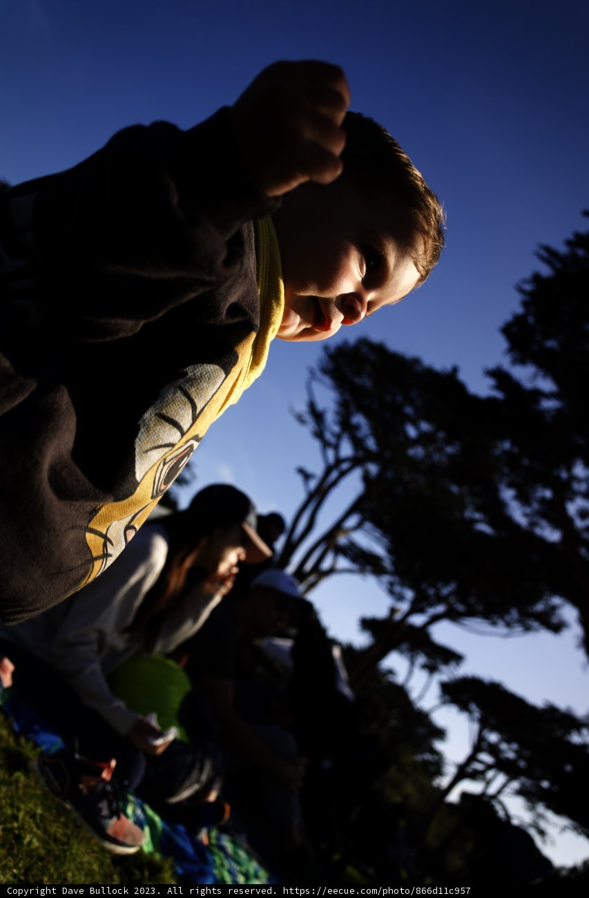 Joyful Summers: Kite Flying in the Park