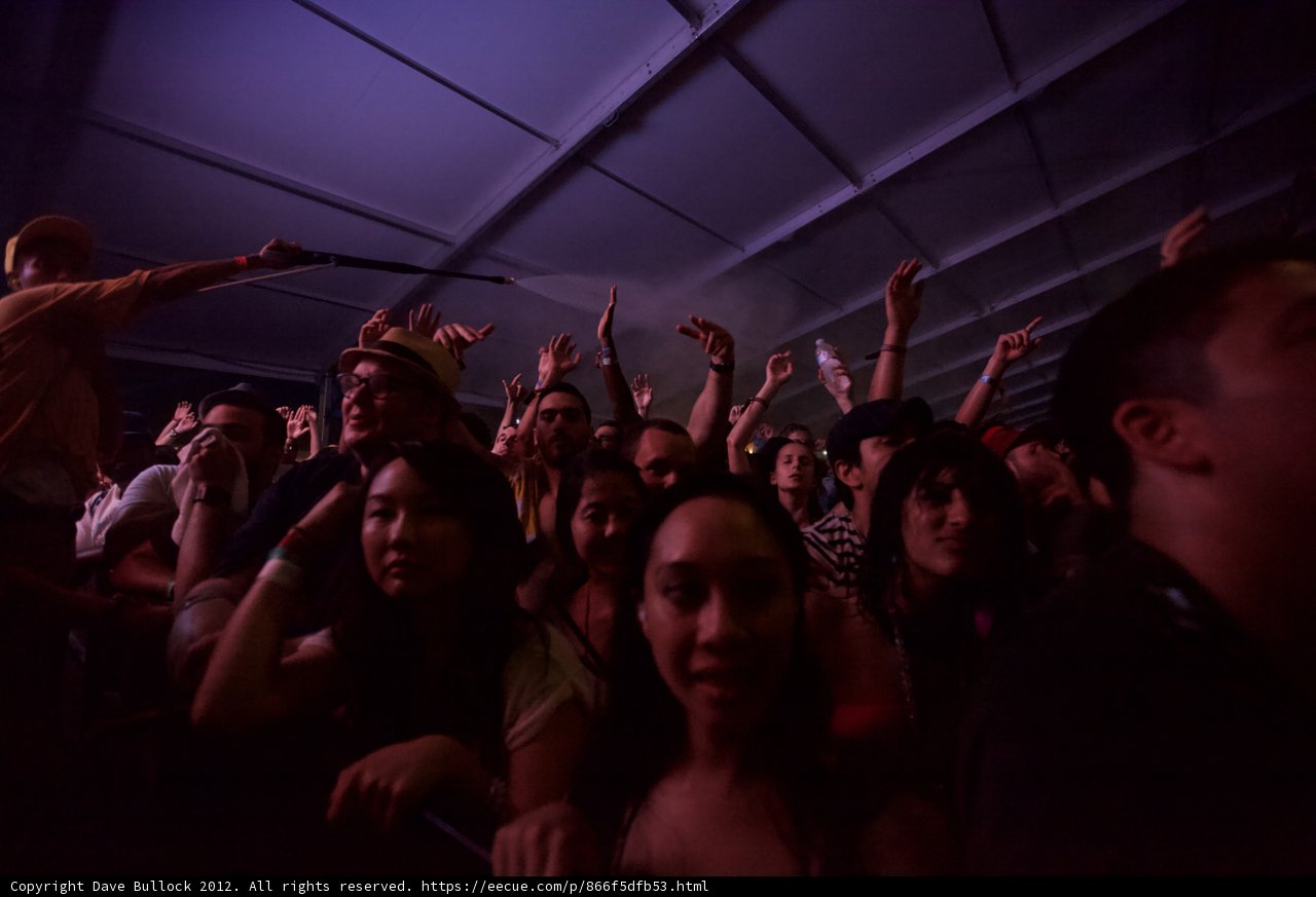Hands Up in the Crowd at Coachella 2012