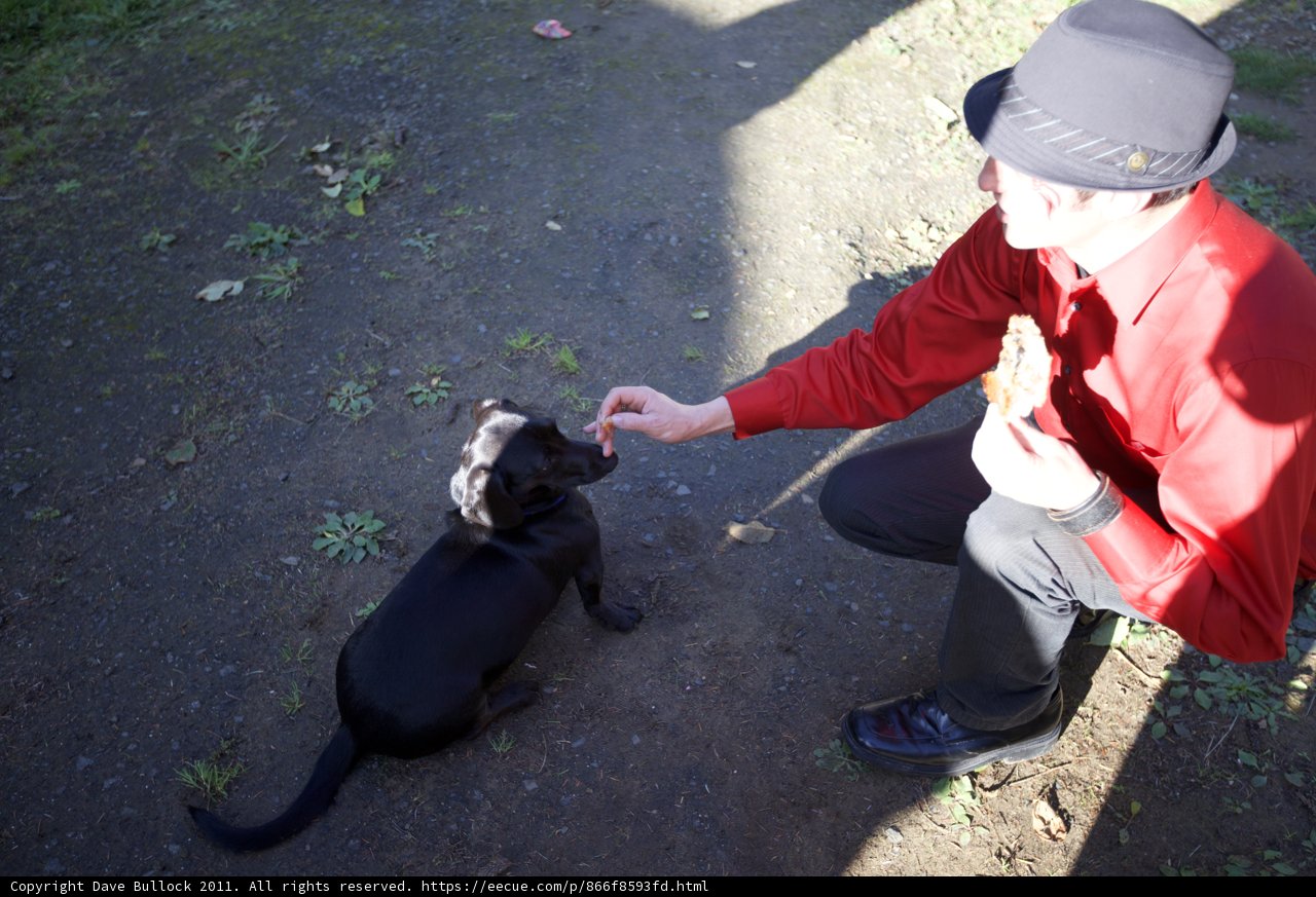 Man and His Best Friend