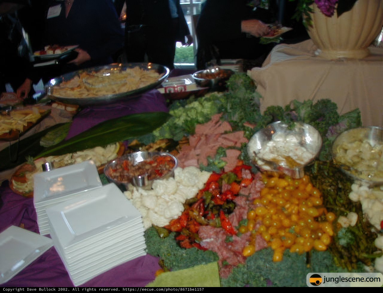 A Bountiful Buffet Spread