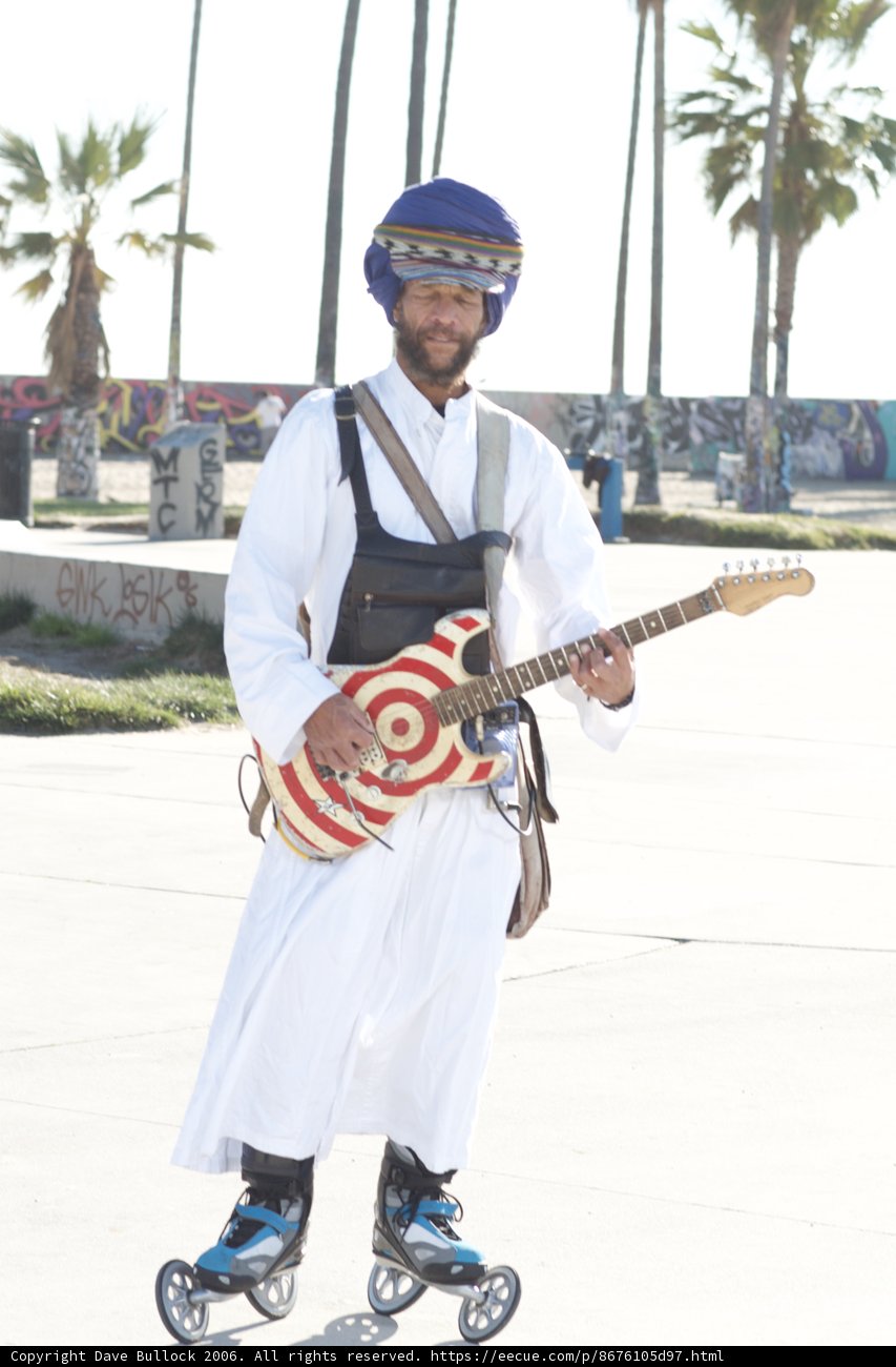Skating Serenades
