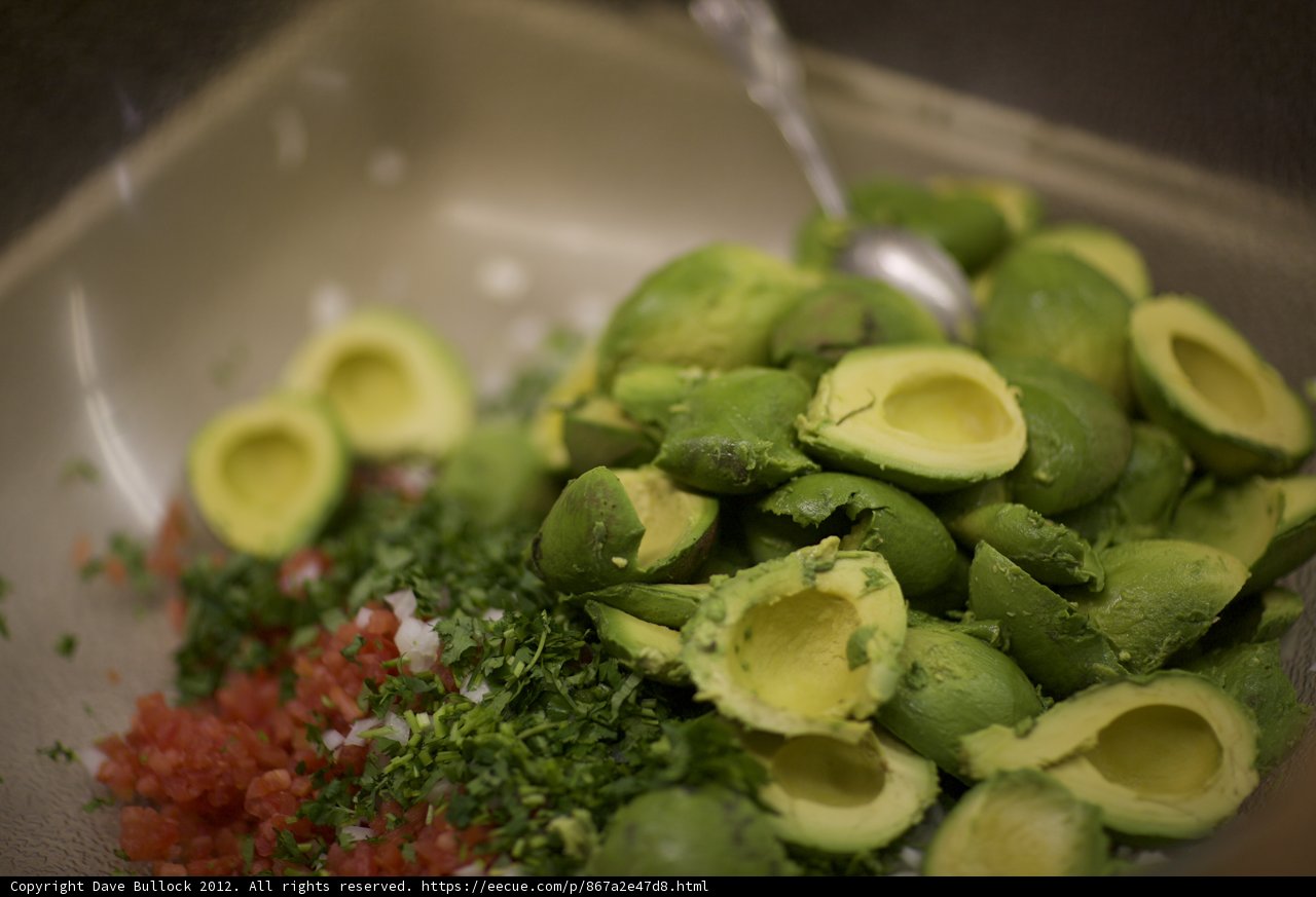 Fresh Avocado and Tomato Salad