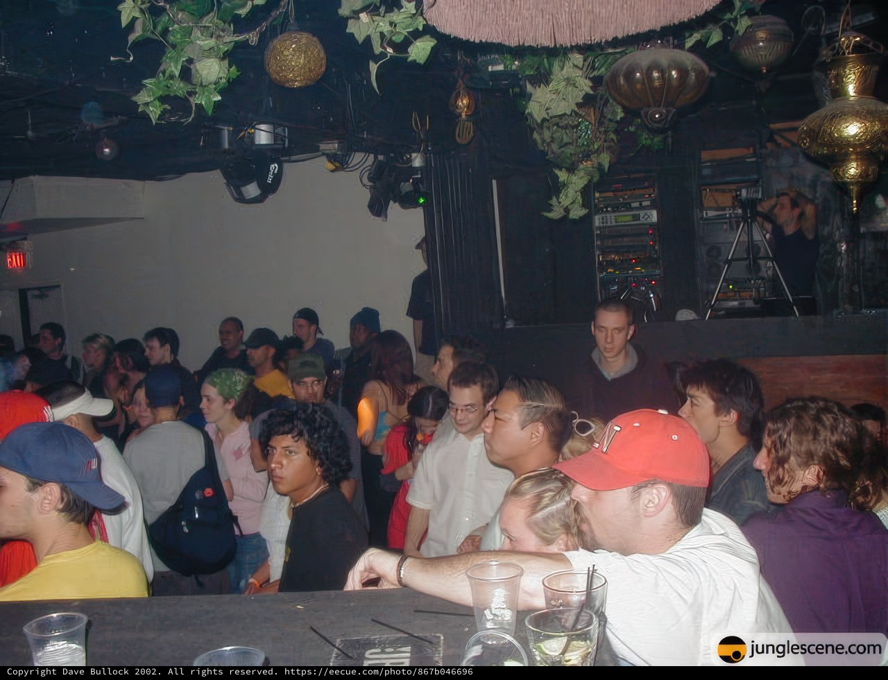 Nightclub Celebration