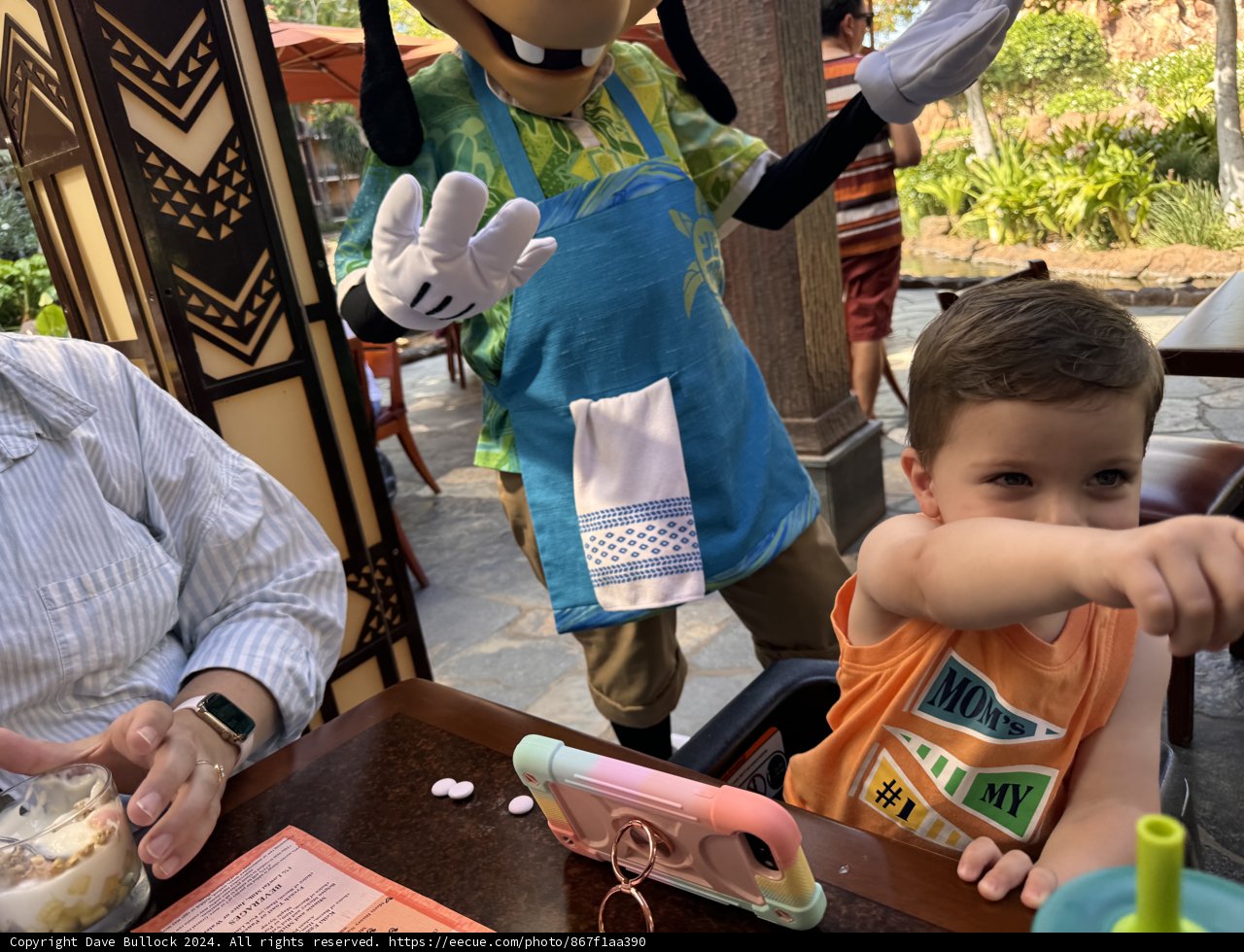 Disney Delights at Aulani