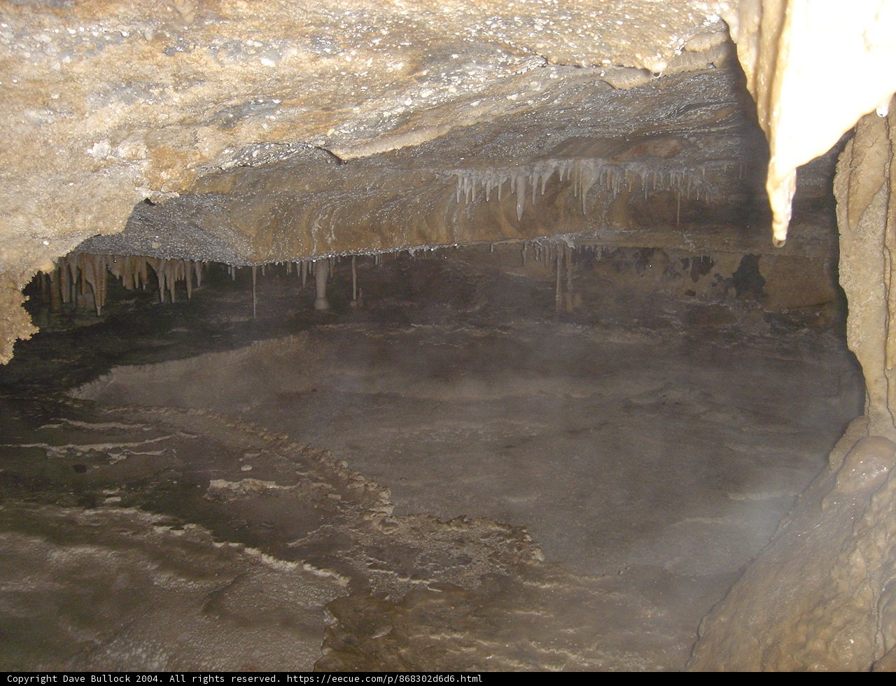 Subterranean Oasis