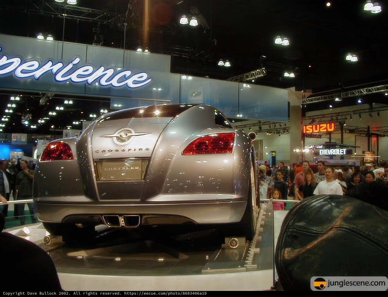 Shiny Silver Sports Car Steals the Show