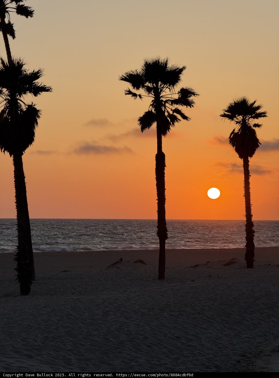 Golden Serenity in Oxnard