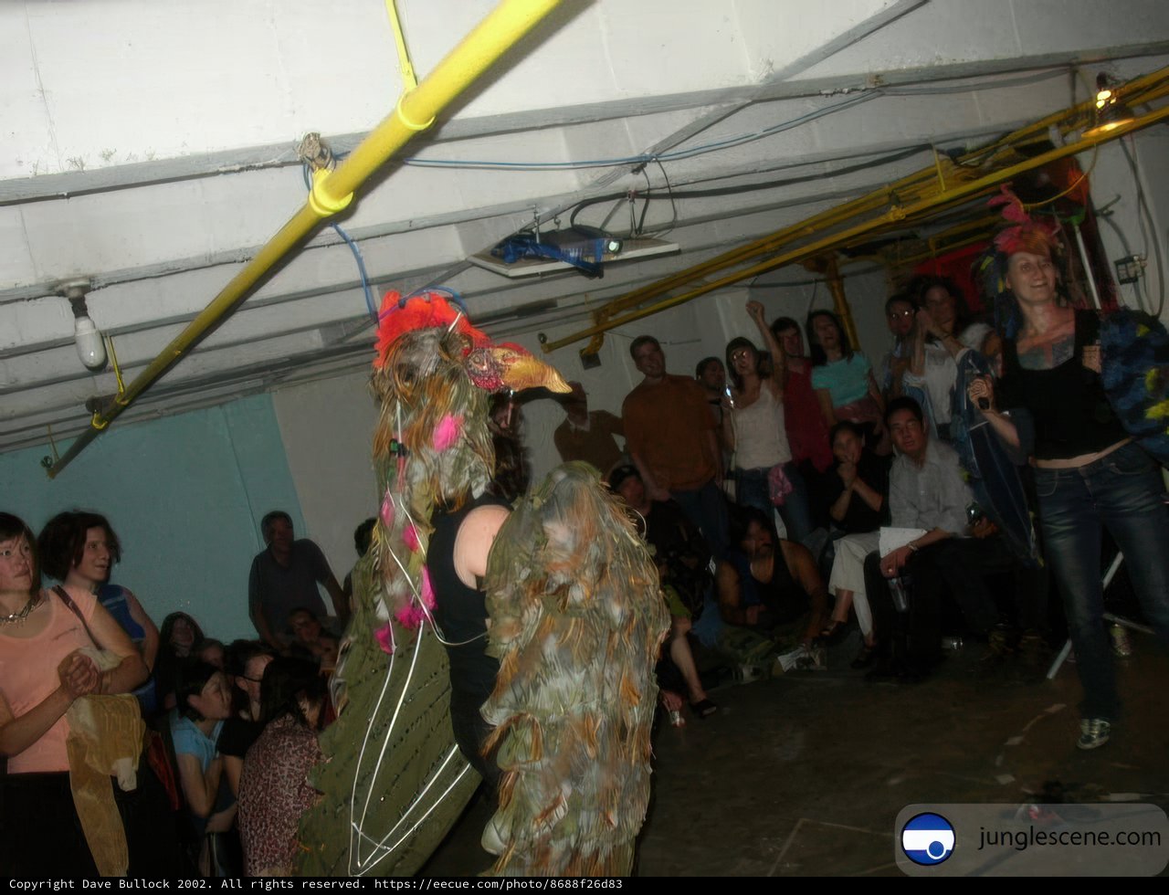 Clucking Around at the Night Club