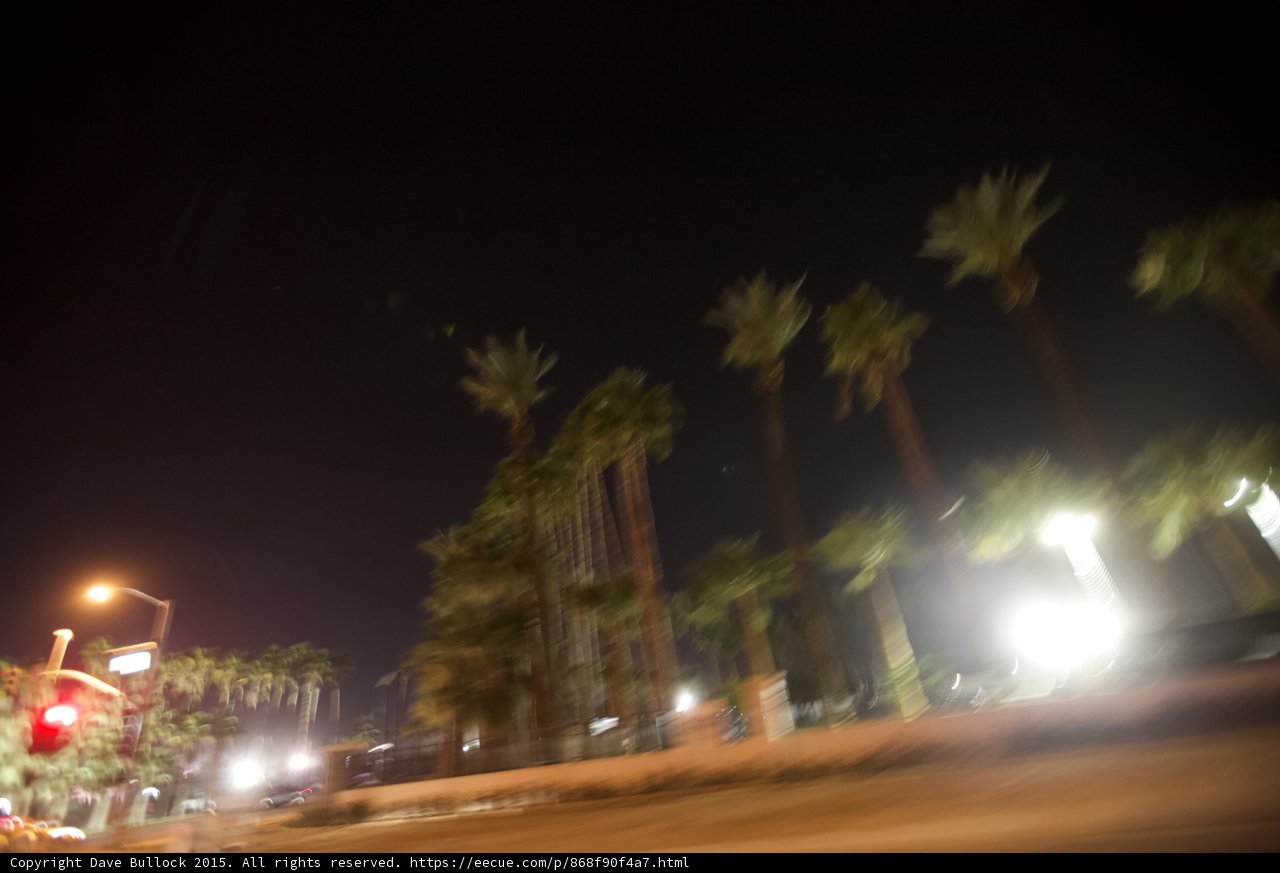 Blurry Palm Trees at Night