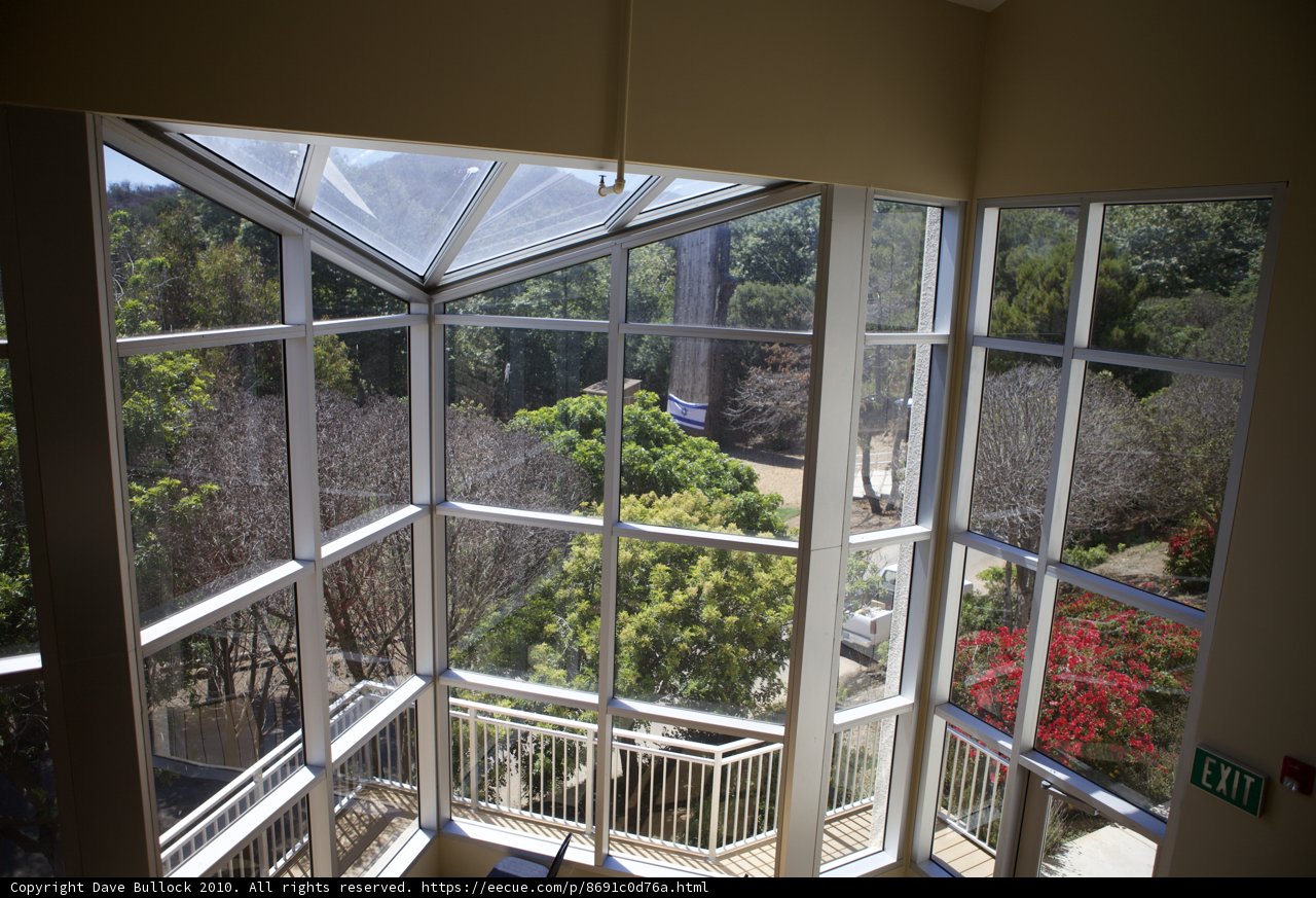 The Greenhouse Window
