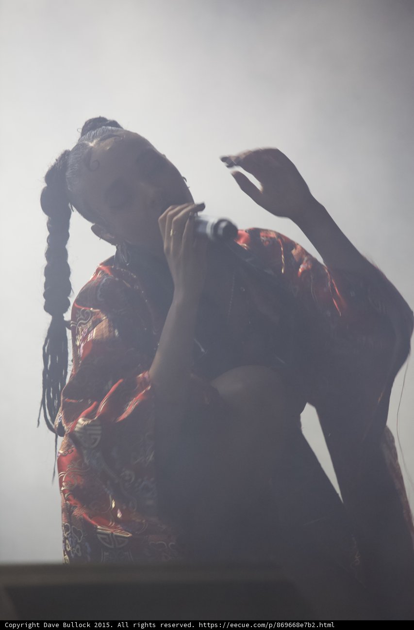 FKA twigs Silhouette Portrait Arm Raised Expressive Hand Baby Hairs Red Brocade Kimono Braided Ponytails Rings Heavy Backlit Haze