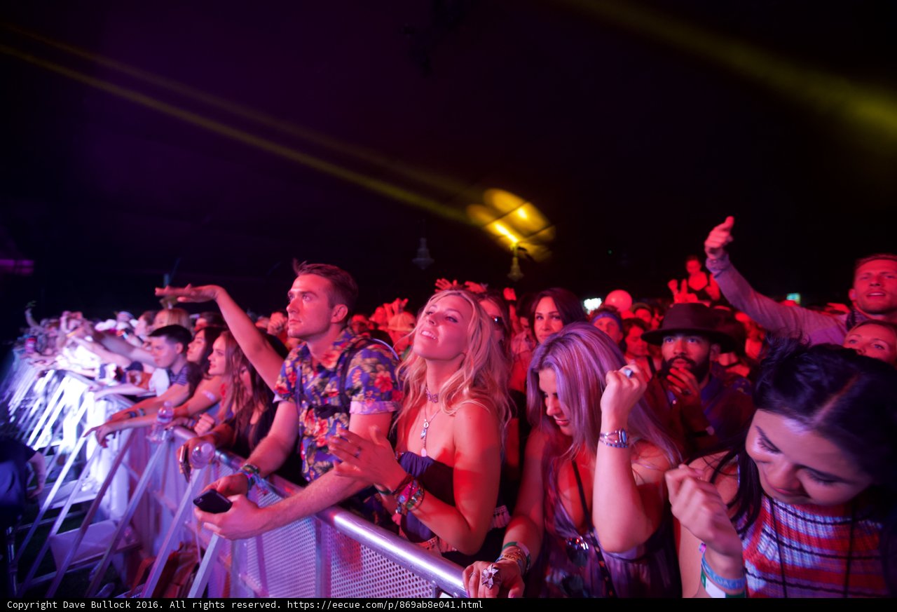 Partygoers at Coachella 2016