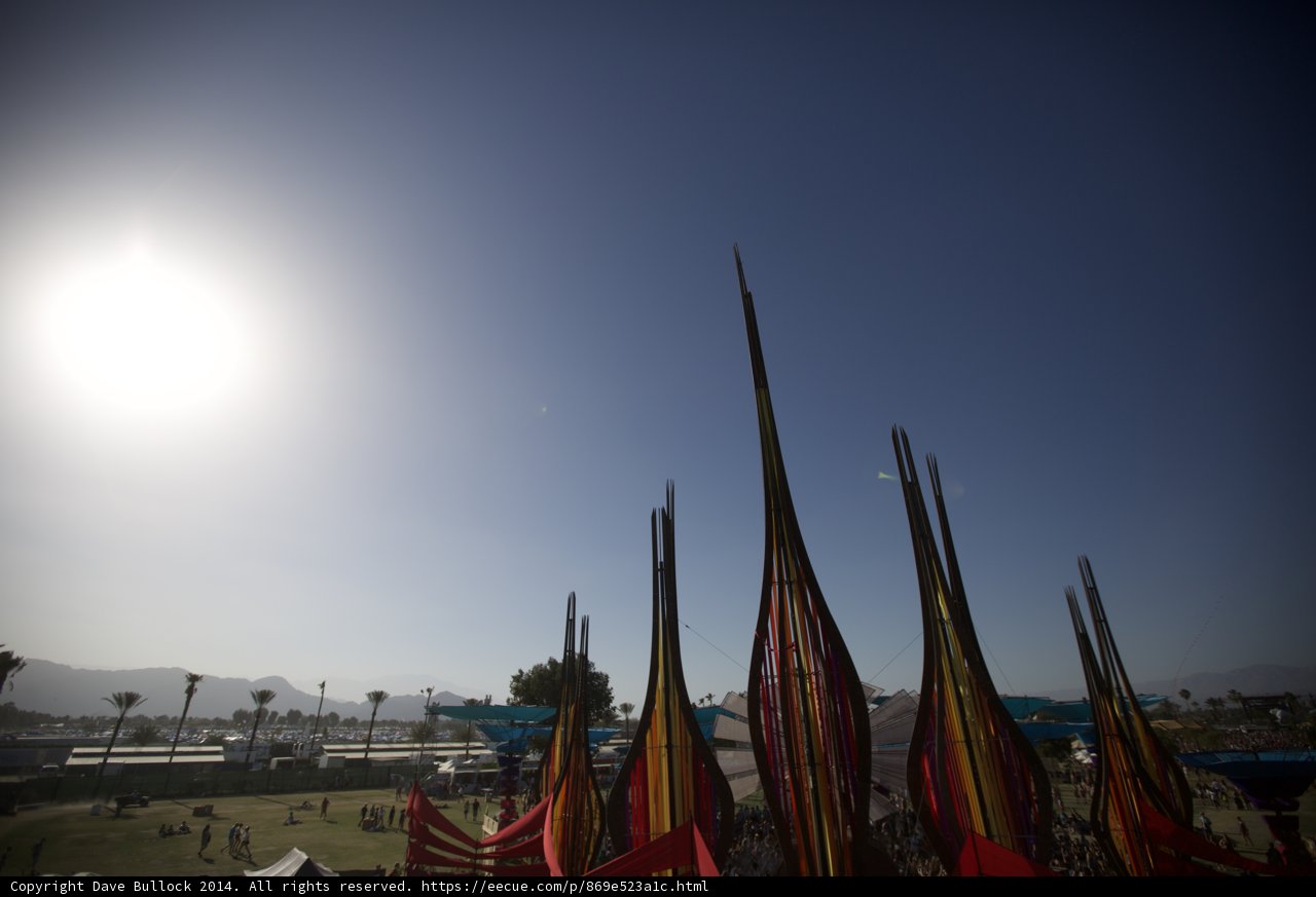 Flag Field in the Sun