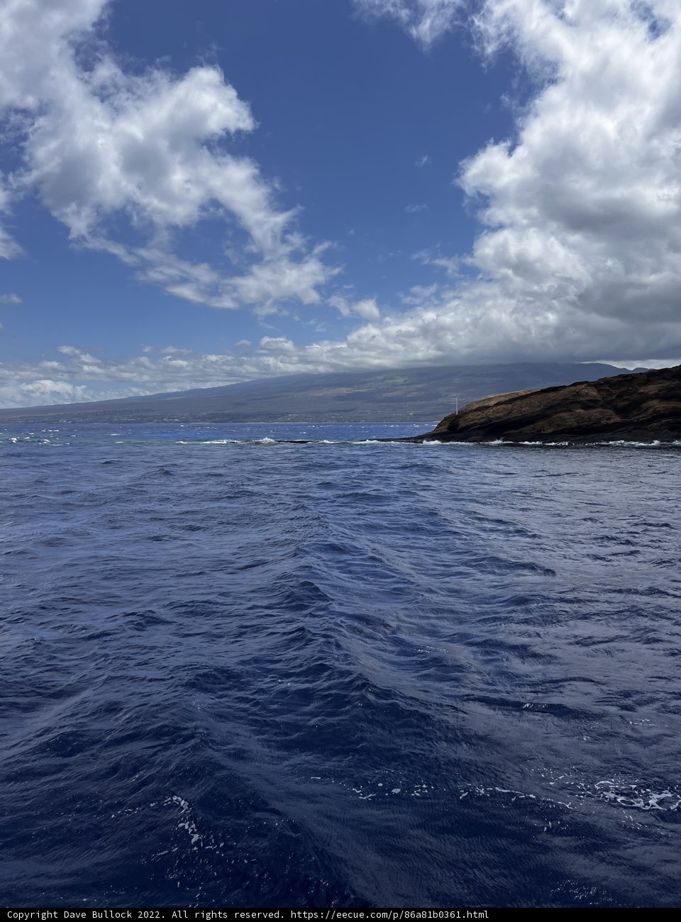 Serenity in Blue