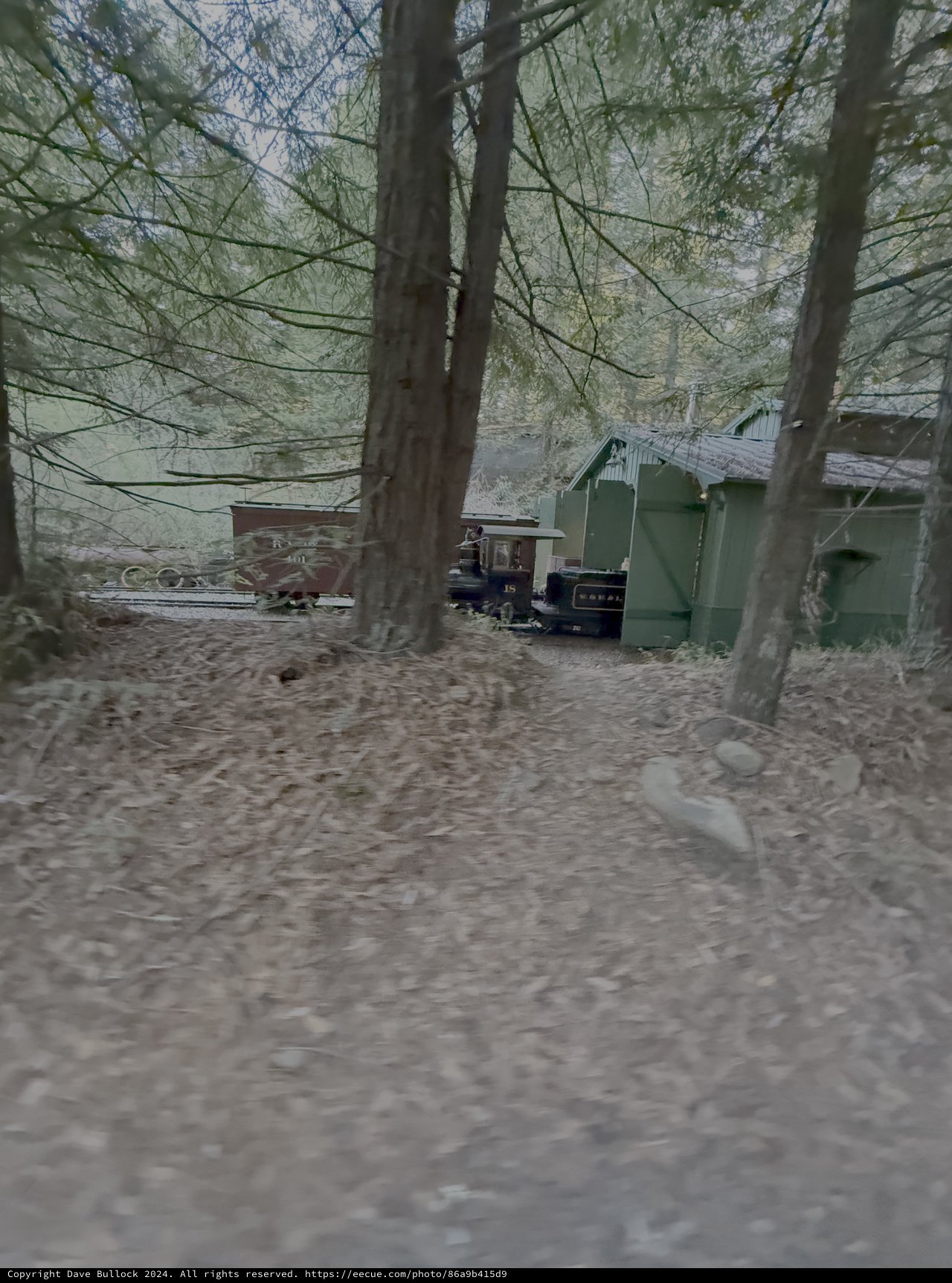 Abandoned Railway Carriages in Misty Forest