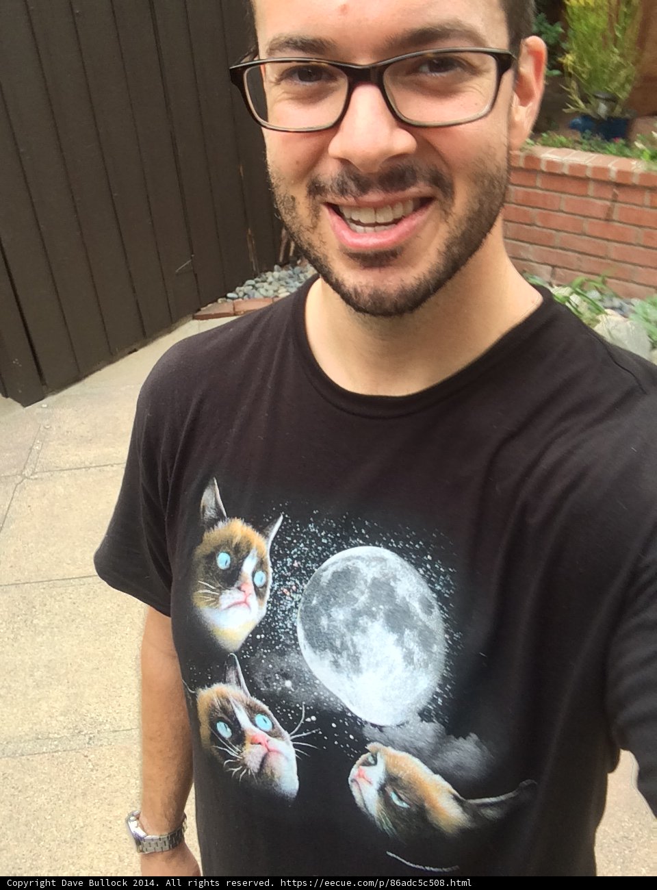 Cat Lover