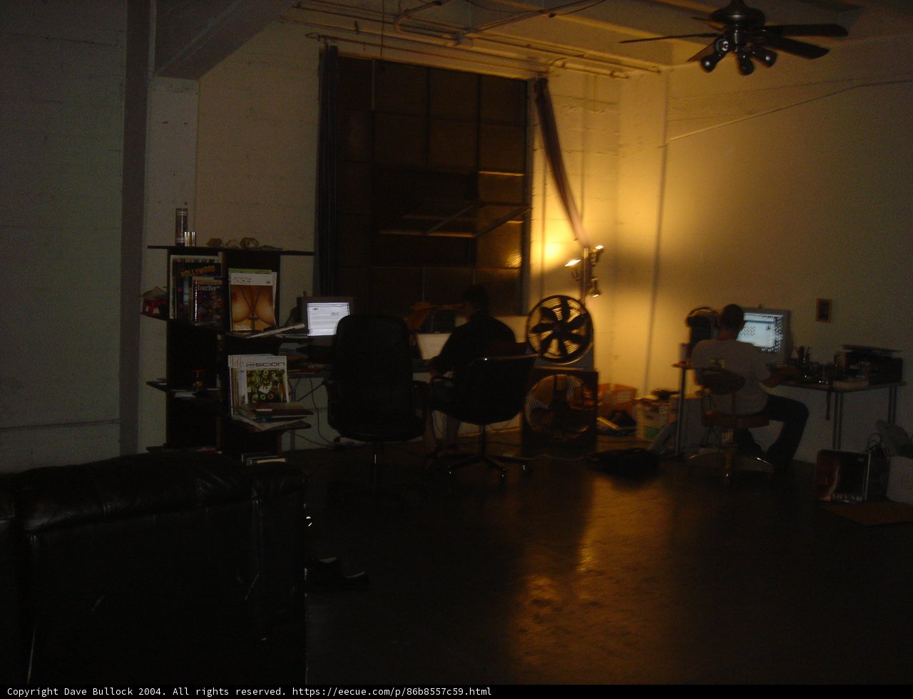Two Men Hard at Work in a Home Office