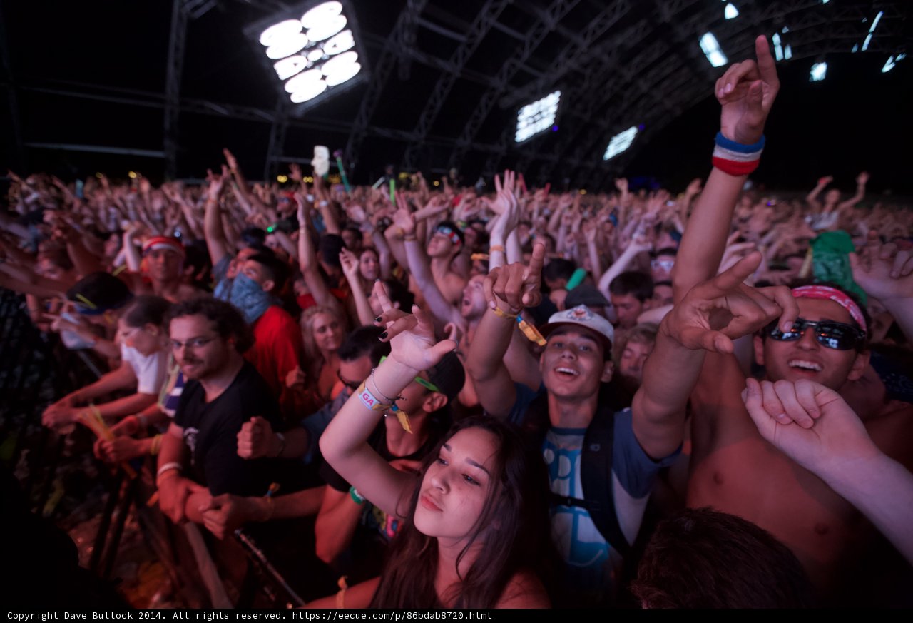 Hands in the Air at Coachella