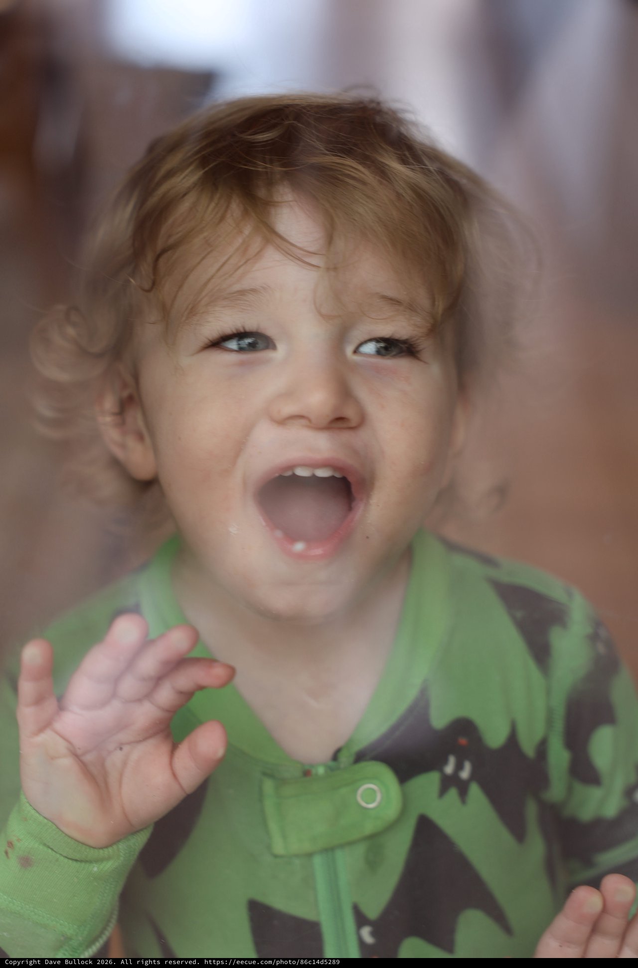 Joyful Toddler in Green Dinosaur Shirt
