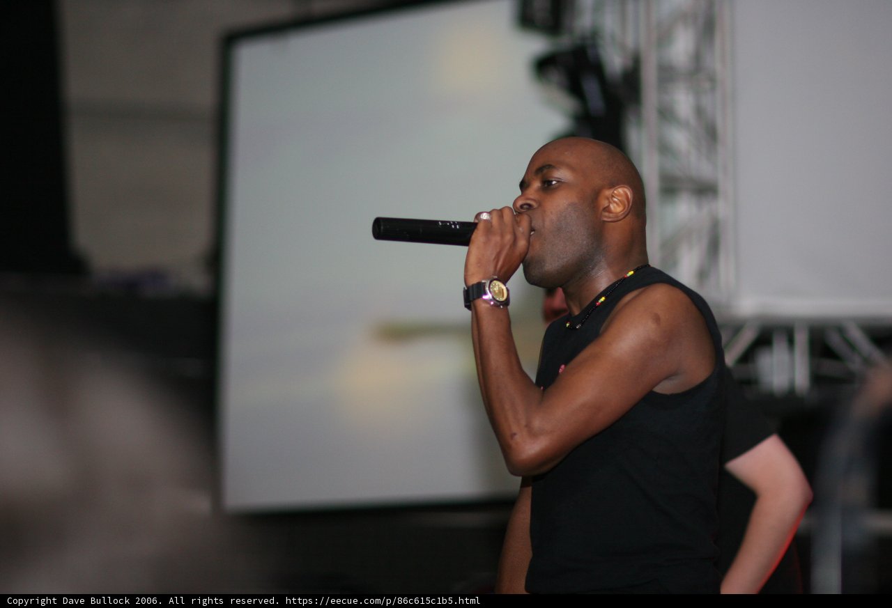 The Entertainer with the Mic