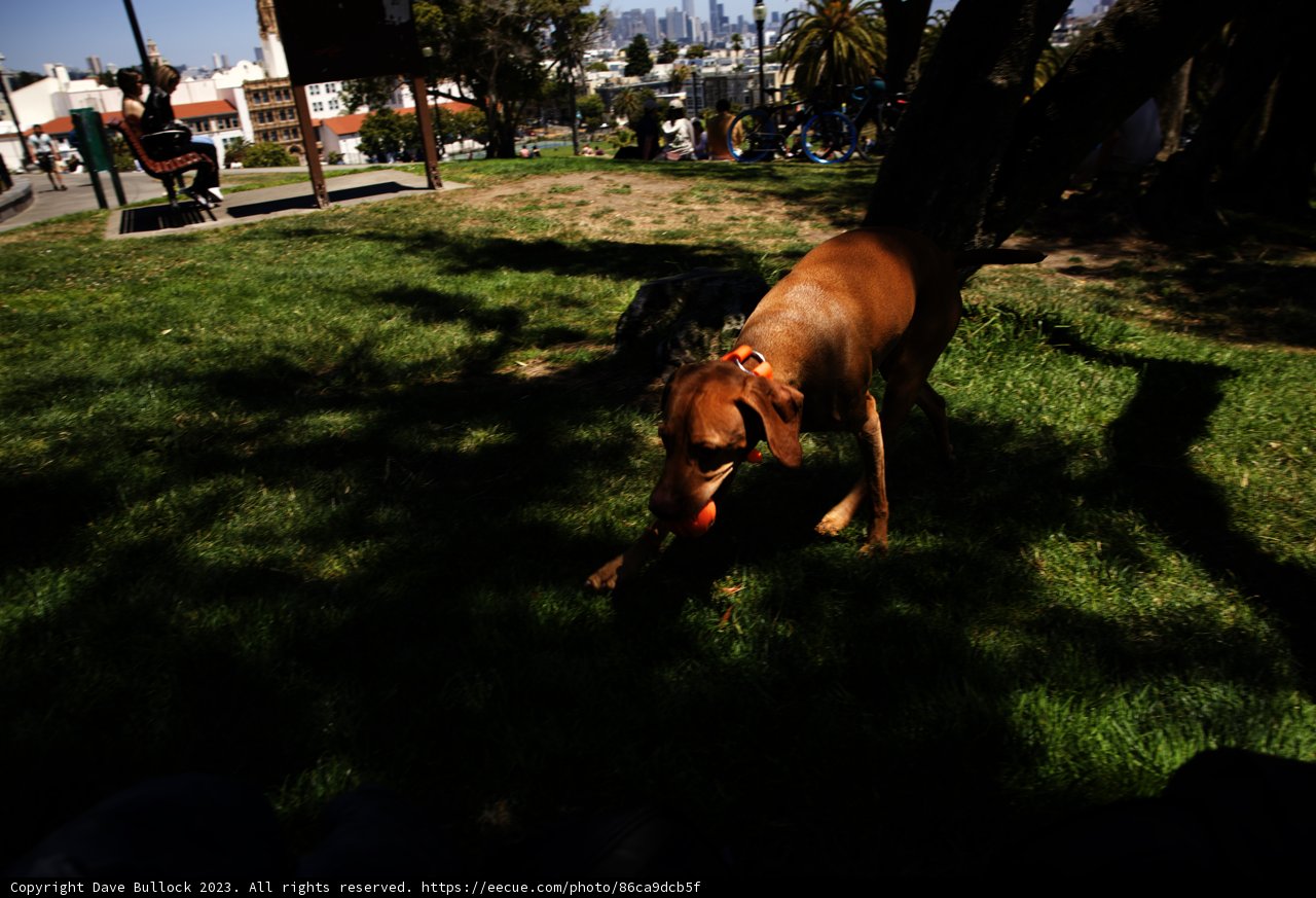Fun under the Sun: A Day at Delores Park