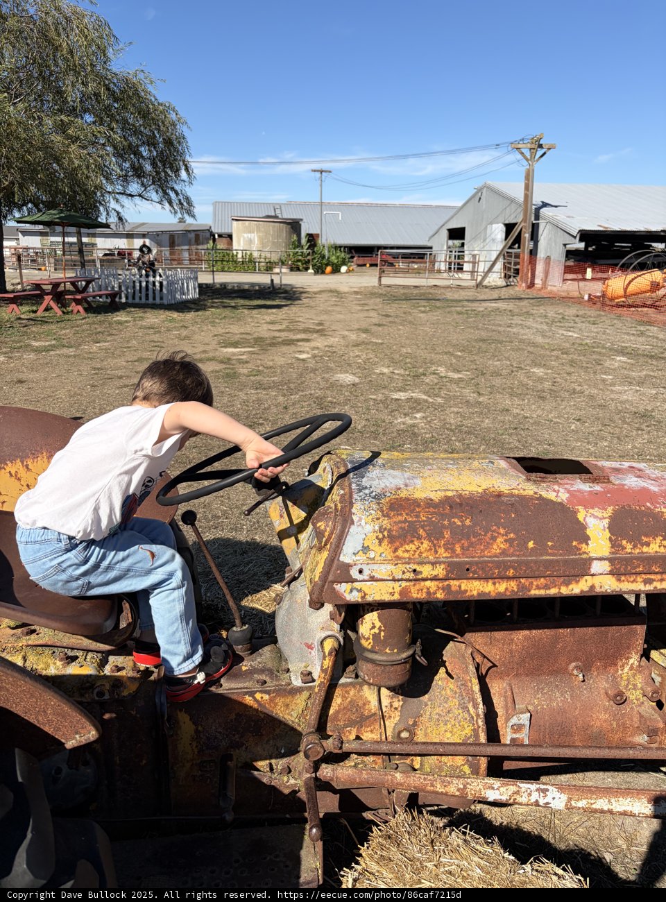 Little Adventurer on the Farm