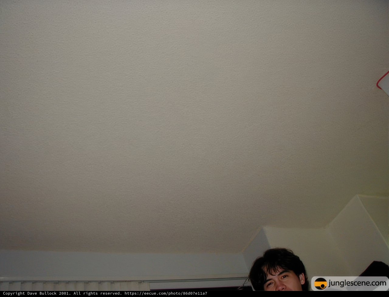 Ceiling Gazer