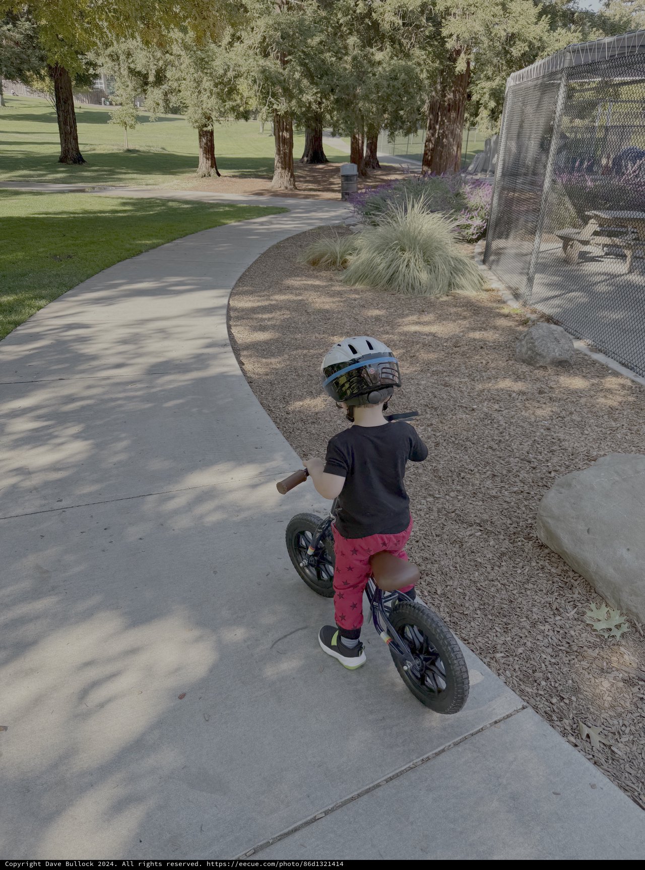 Young Child Learning to Ride Balance Bike