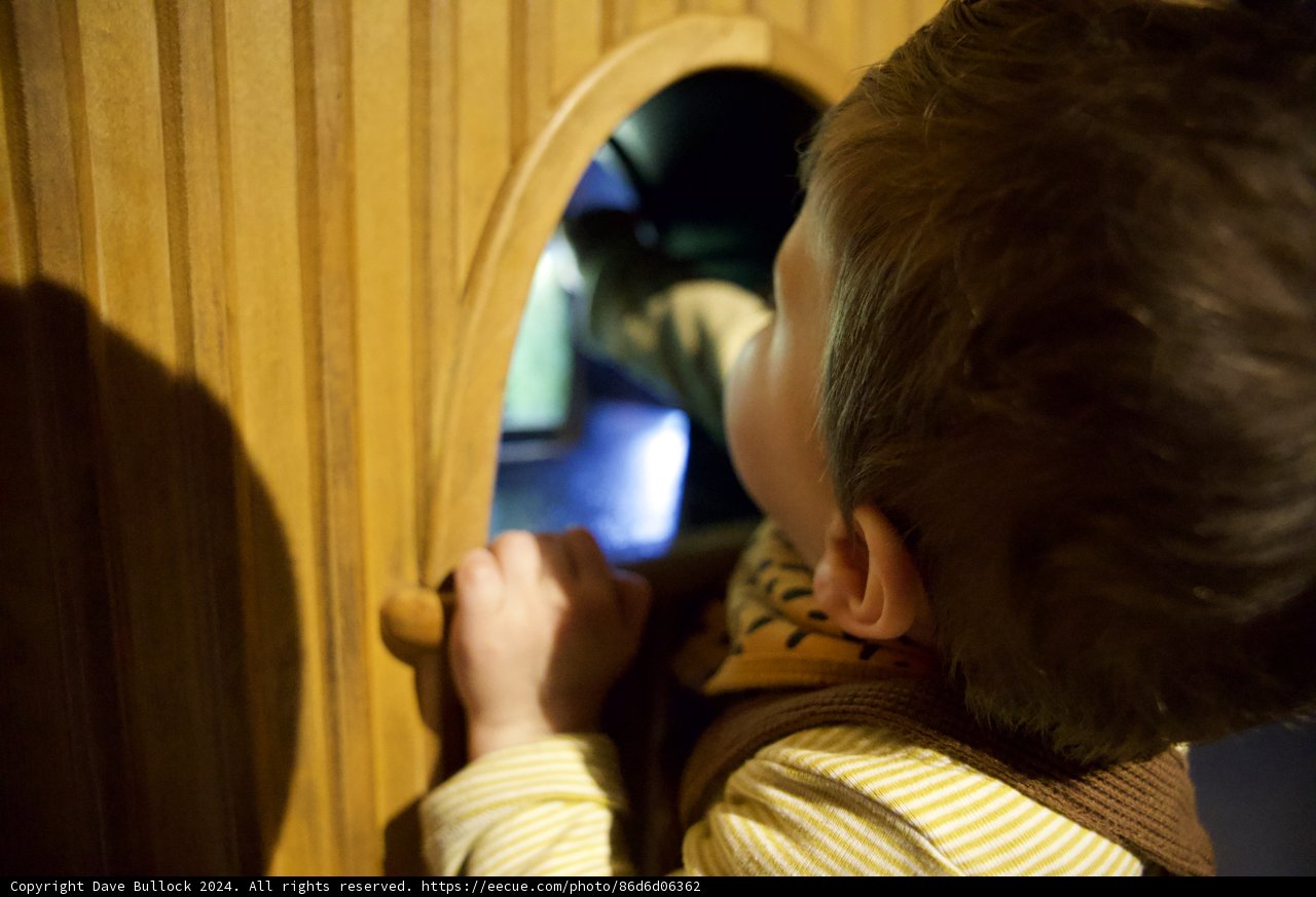 Inquisitive Wonder: Portrait of Youth