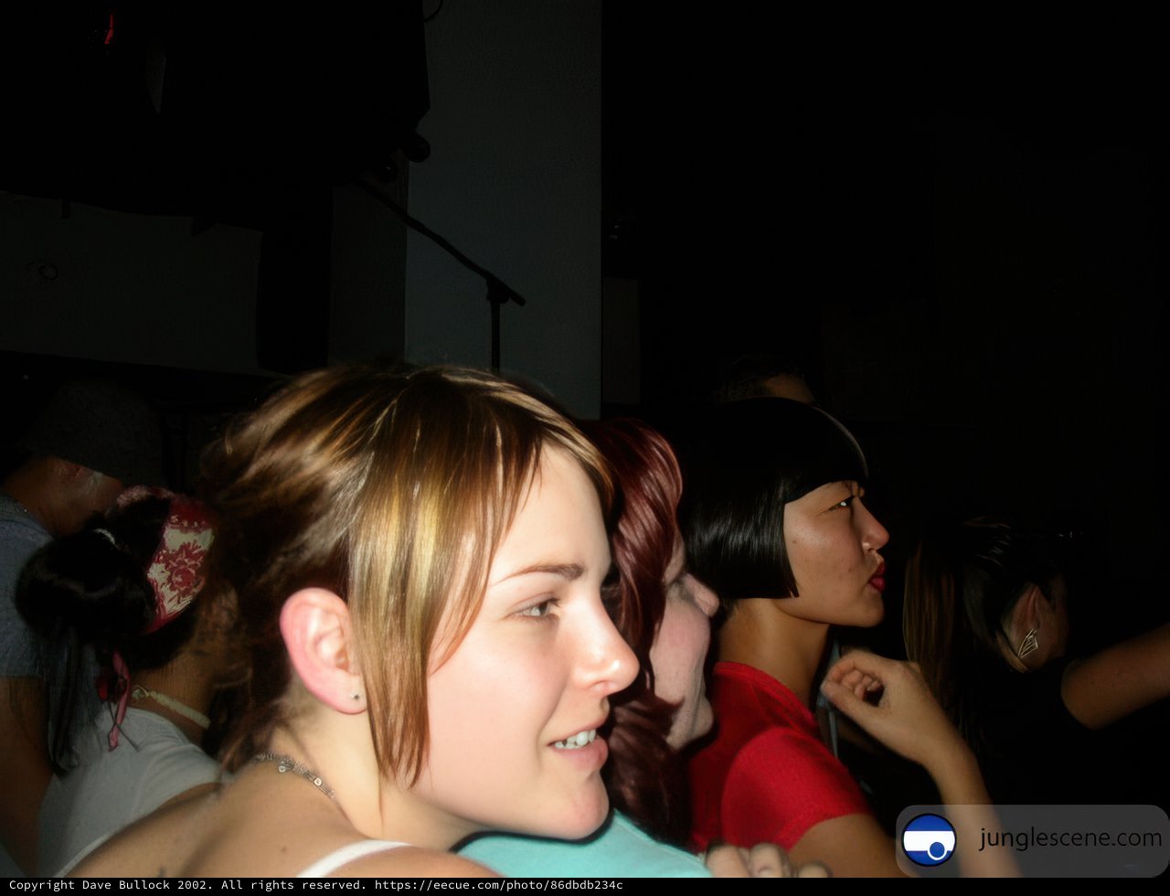 Nightclub Gathering