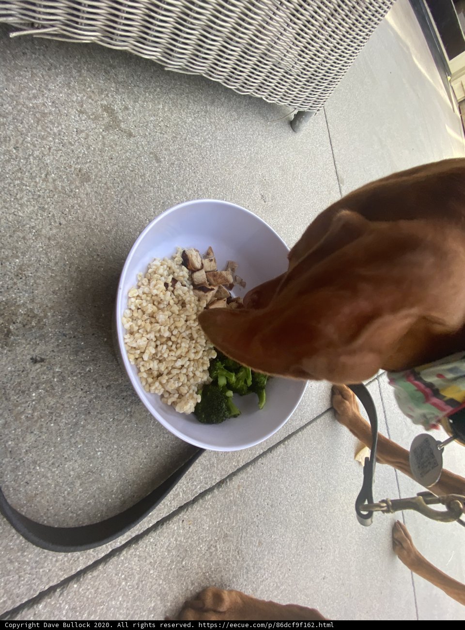 Dinner for Two