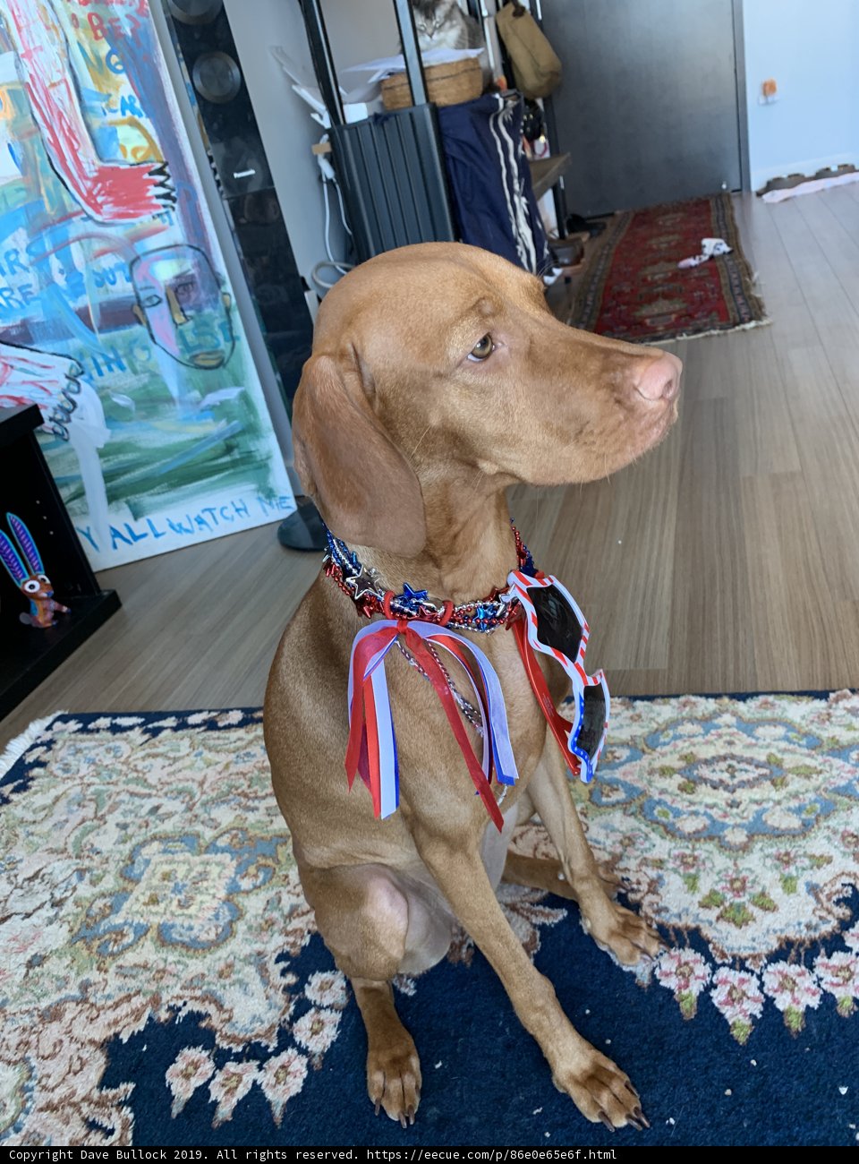 Patriotic Pup