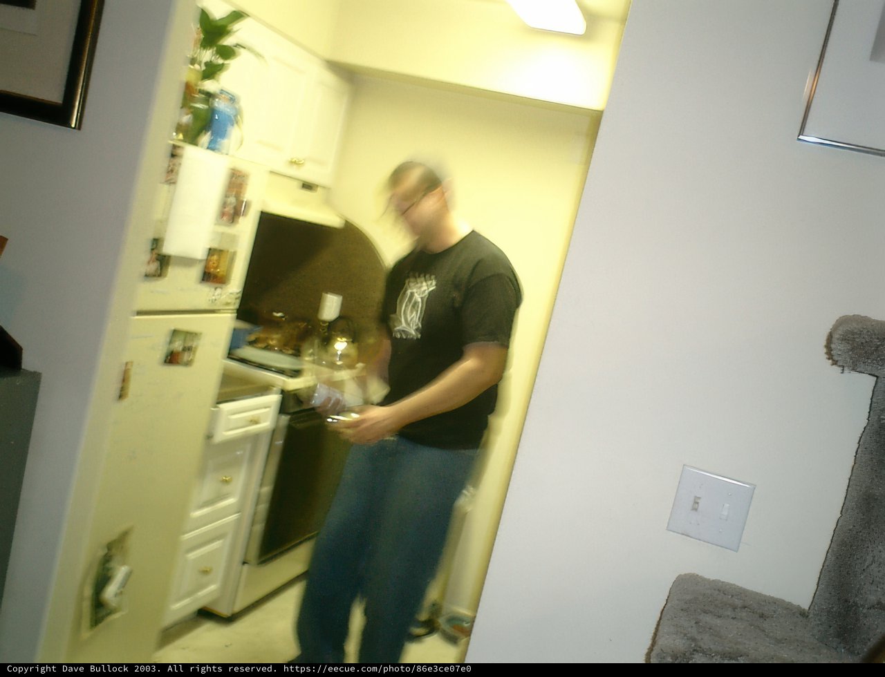 Blurry Figure in a Cluttered Kitchen
