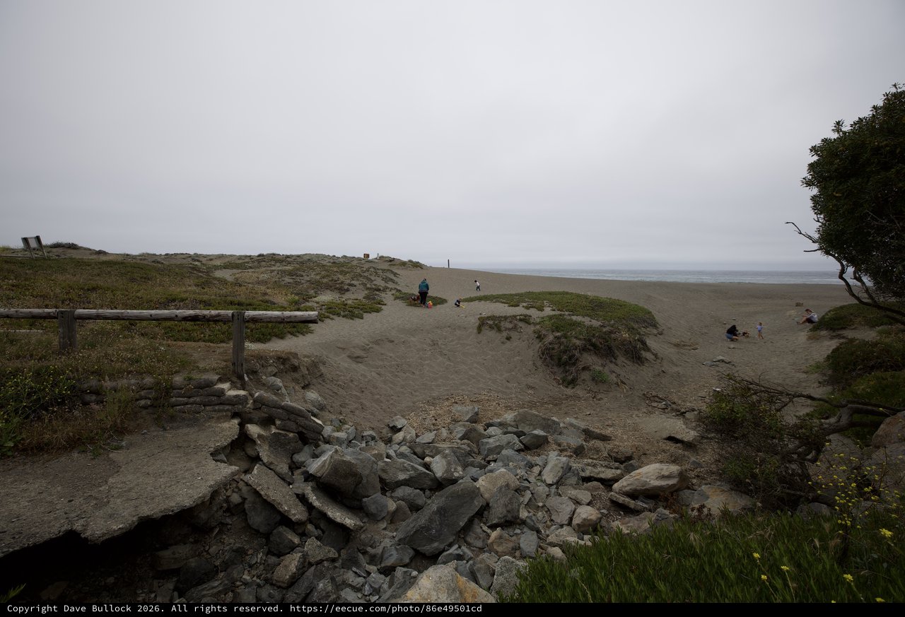 Overcast Coastal Dunes on a Father's Day Outing