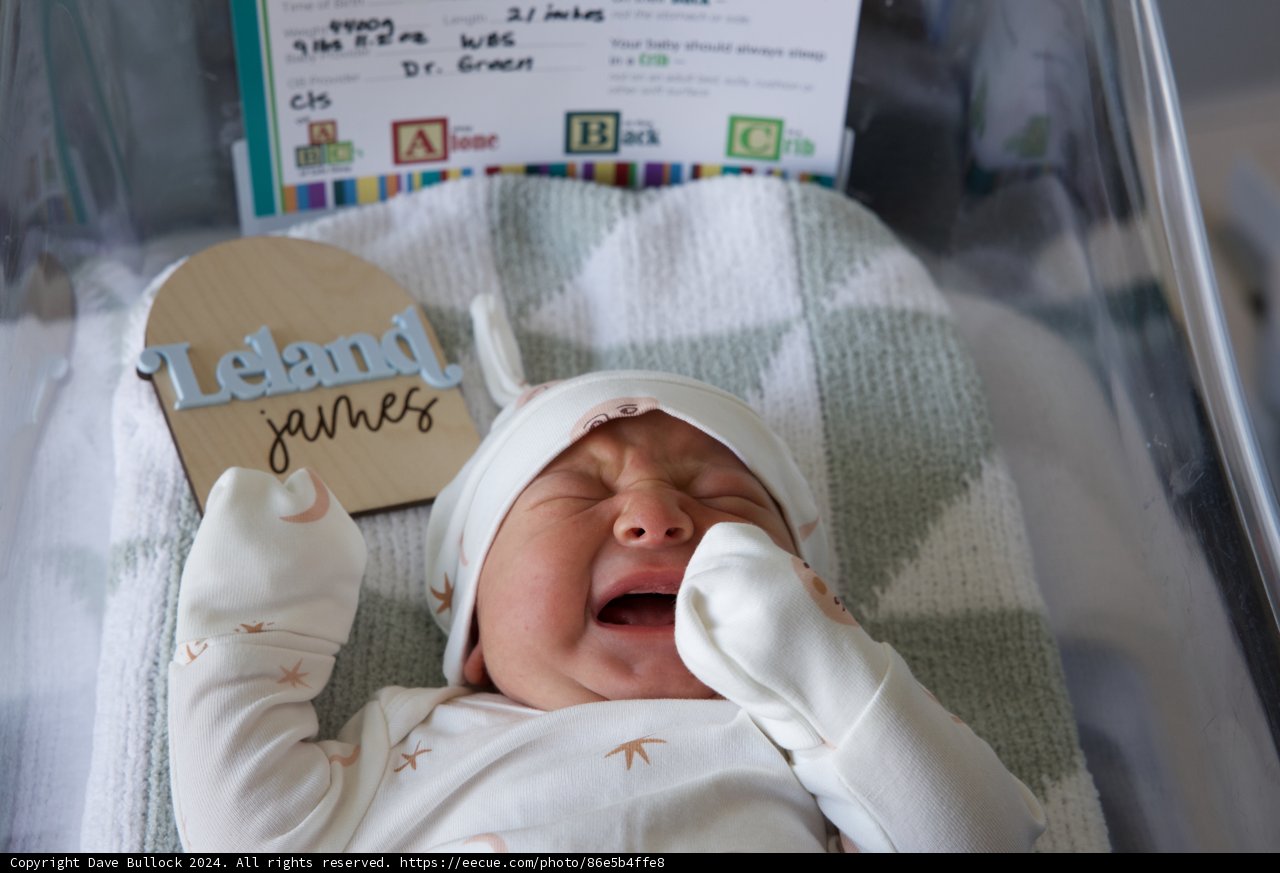 Welcome to the World, Leland