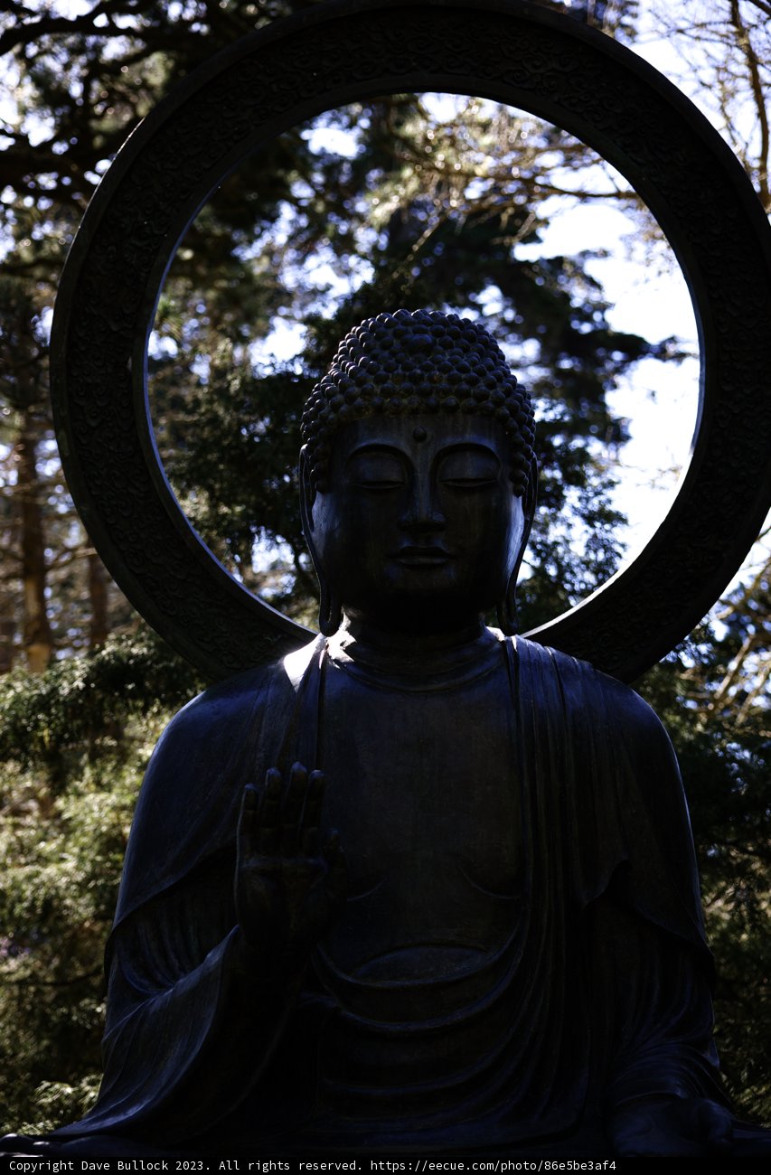 Serenity in the Japanese Tea Garden