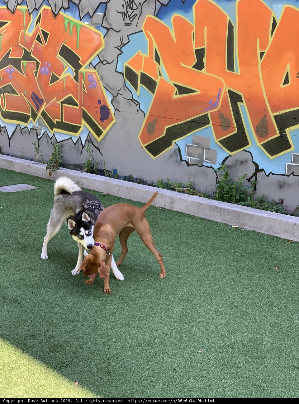 Playing in Graffiti Paradise