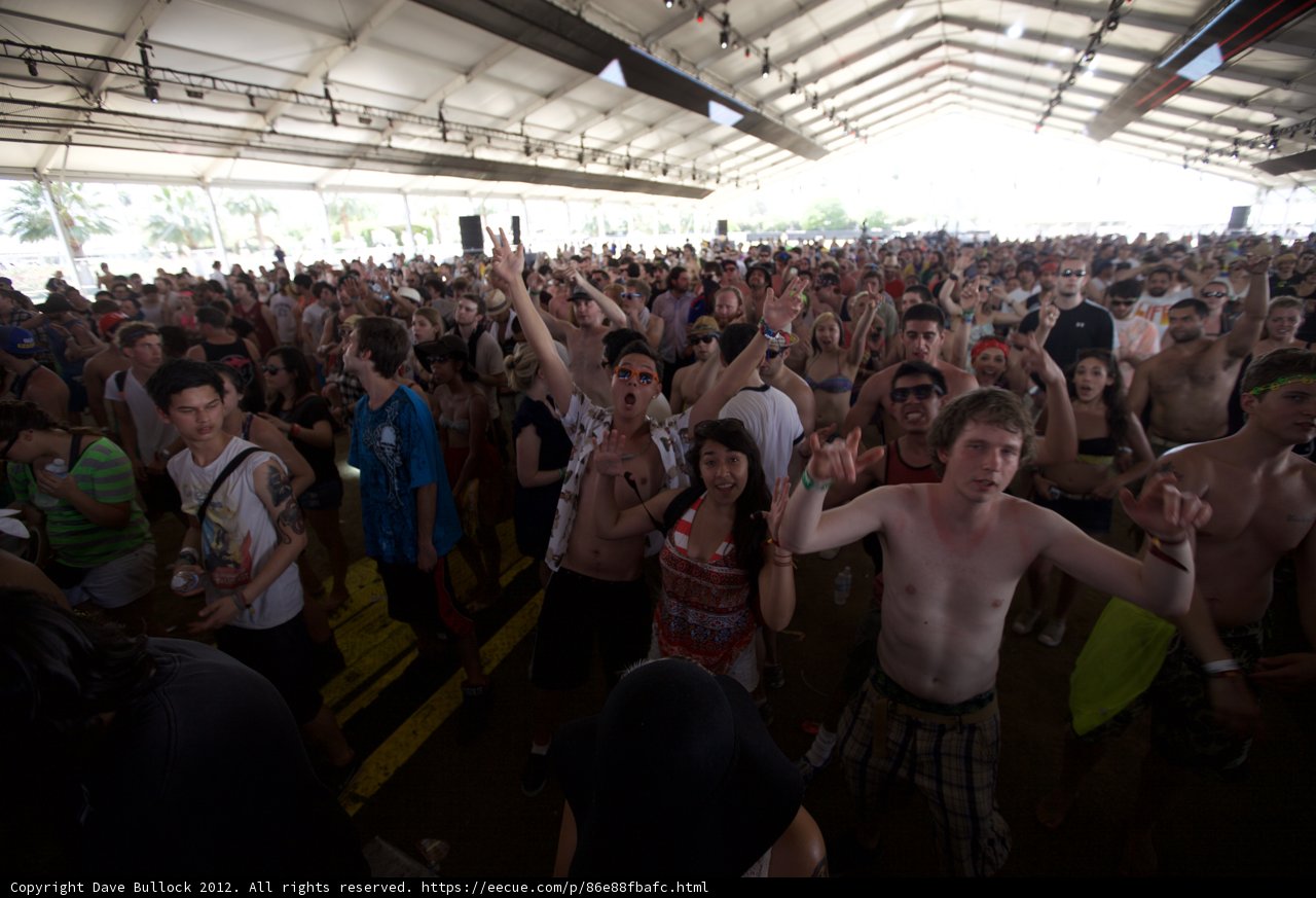 Crowd Goes Wild at Coachella Music Festival