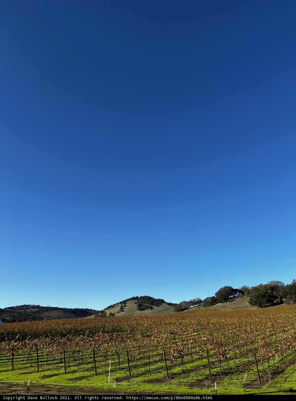 Harvesting in the Countryside