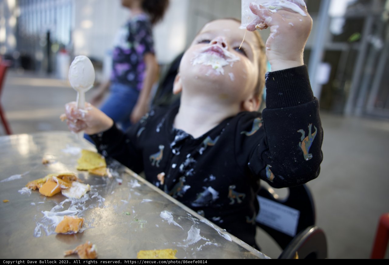 A Young Connoisseur of Sweets