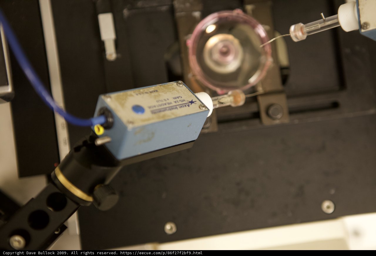 Microscopic Examination of Computer Hardware