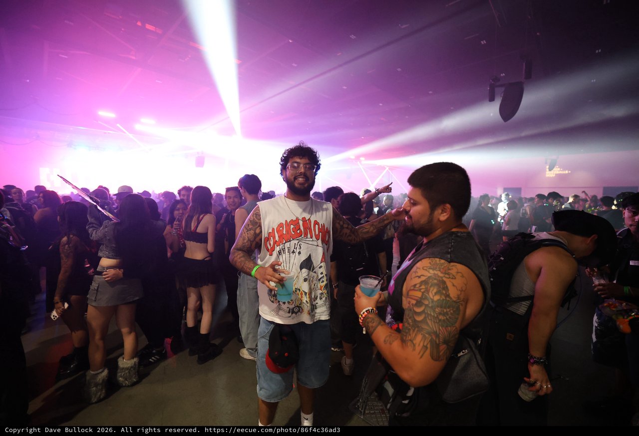 Tattooed Revelers Celebrate at Wobbleland EDM Festival