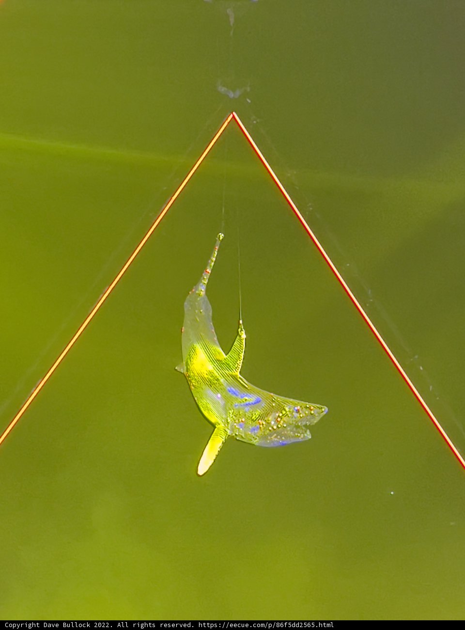 Suspended Green Invertebrate