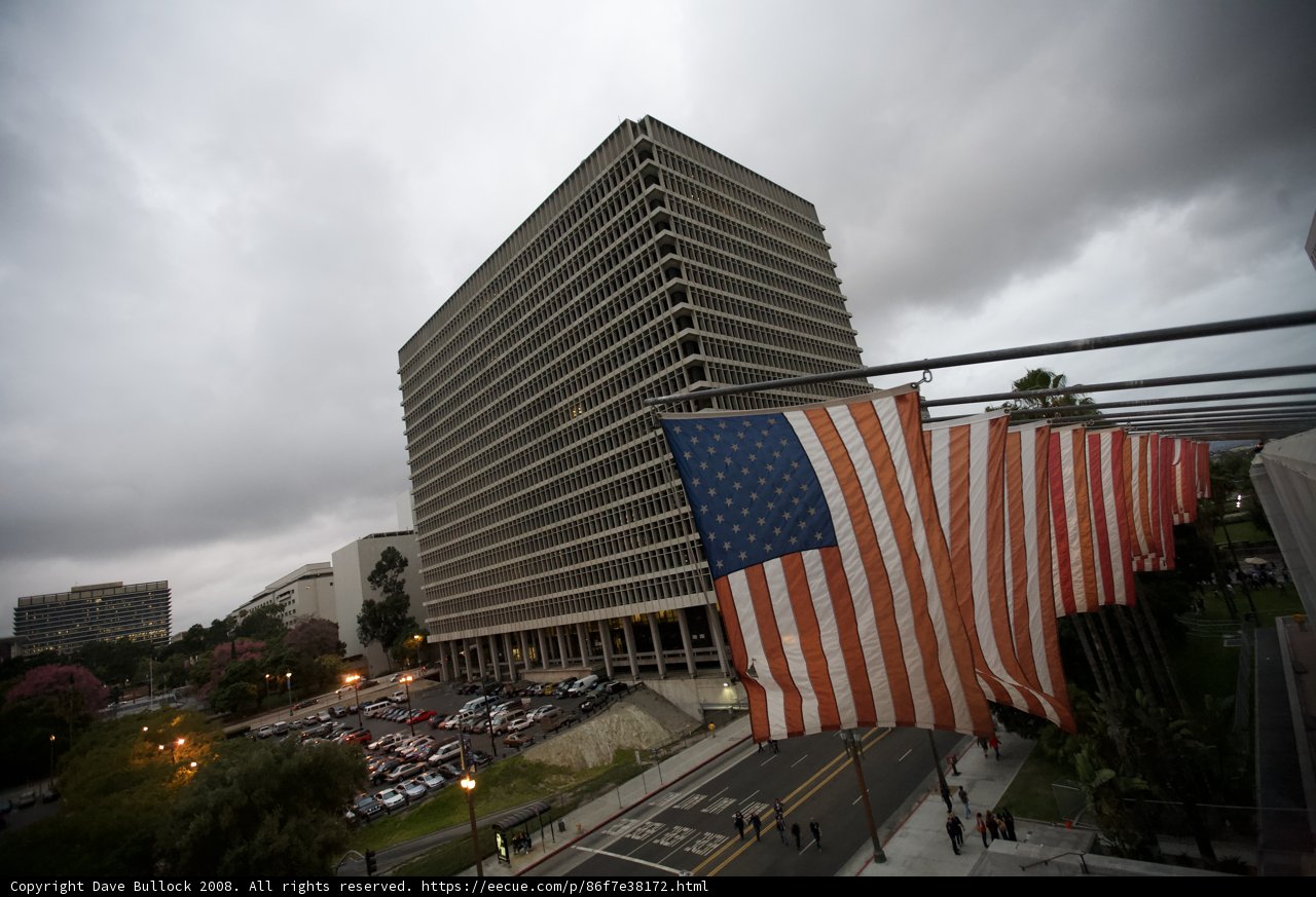 Patriotic Building in the Urban Jungle