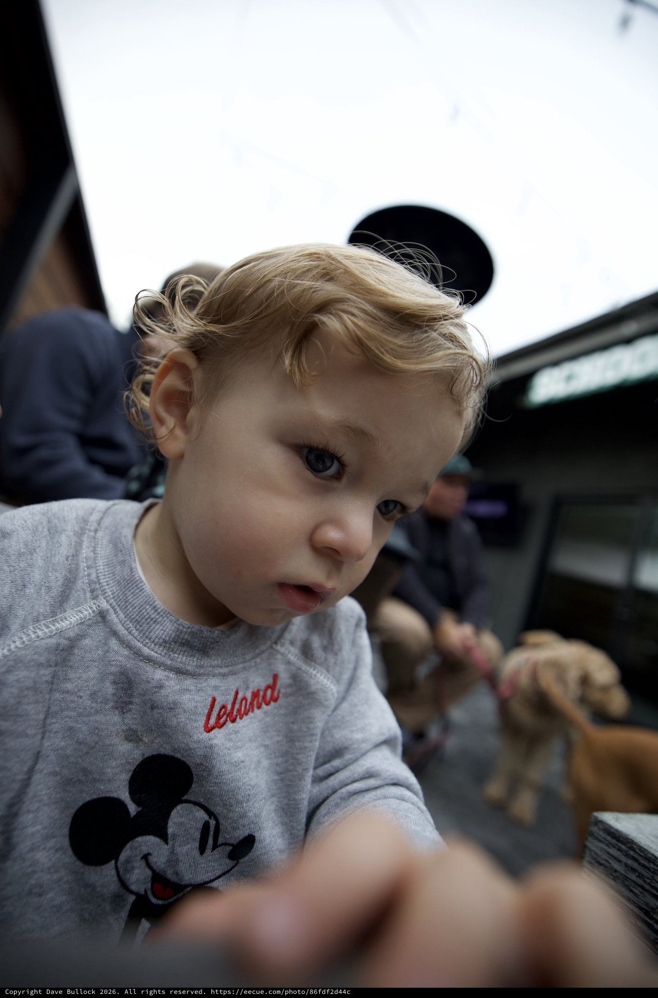 Curious Toddler at Disneyland in Mickey Mouse Shirt