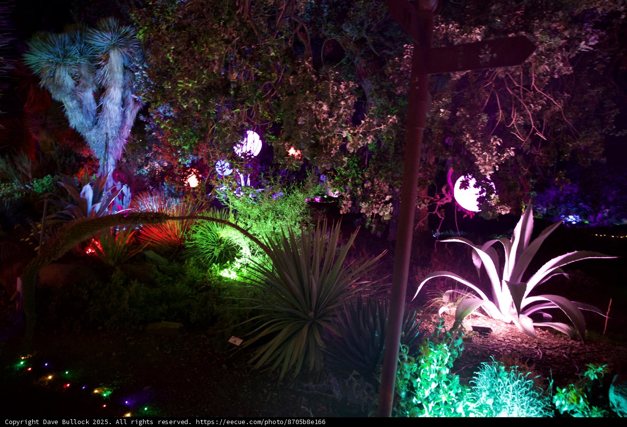 Enchanted Night at Ruth Bancroft Garden