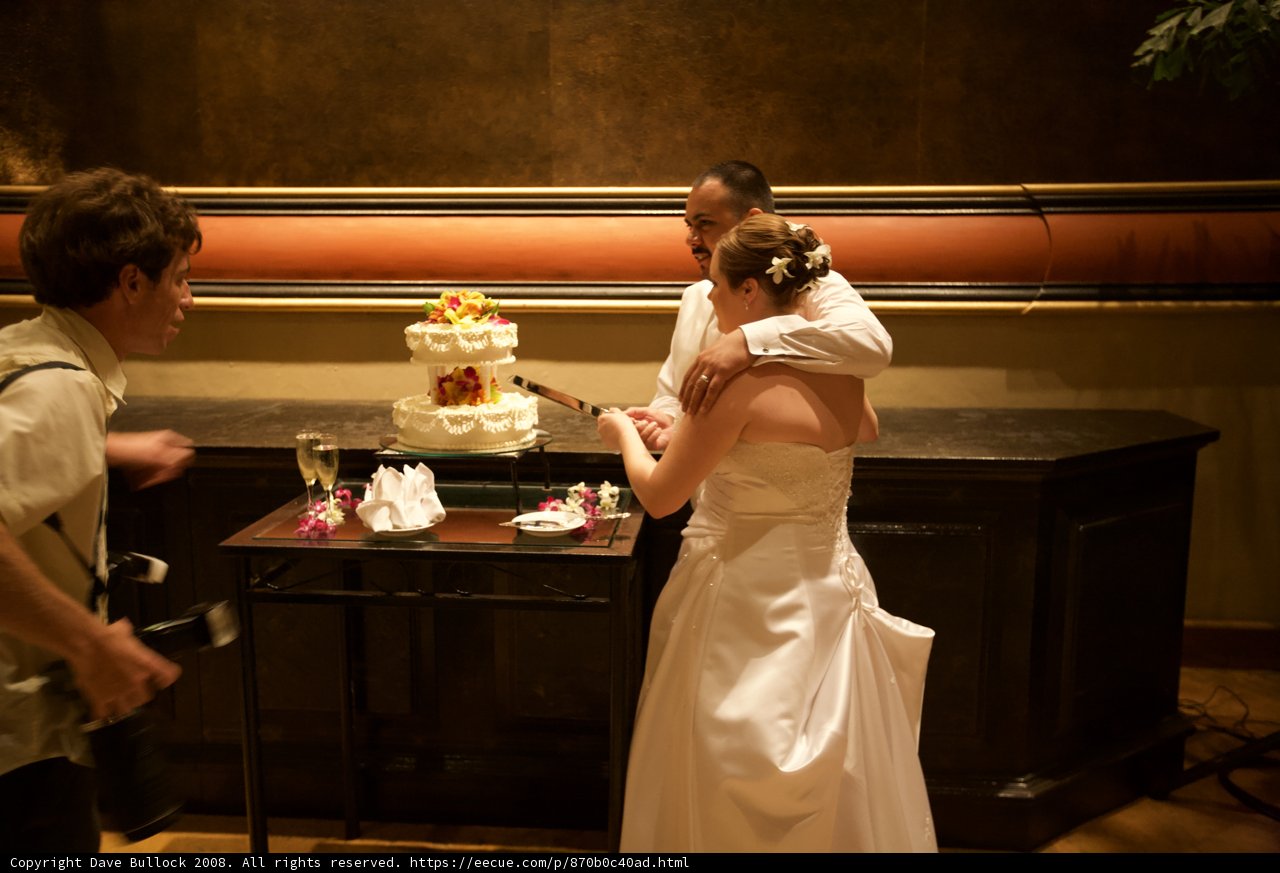 Cutting the Wedding Cake