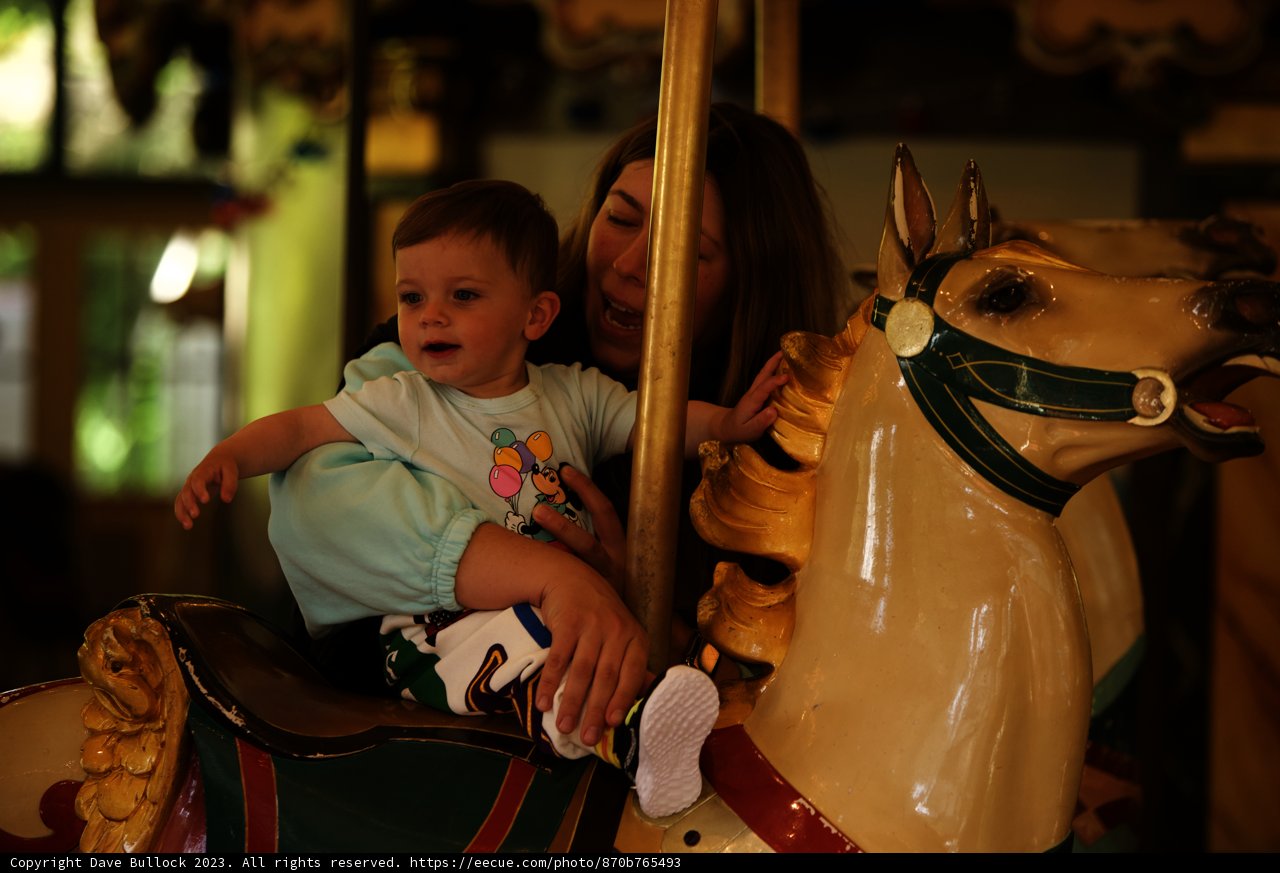 Sonja's Magical Carousel Adventure