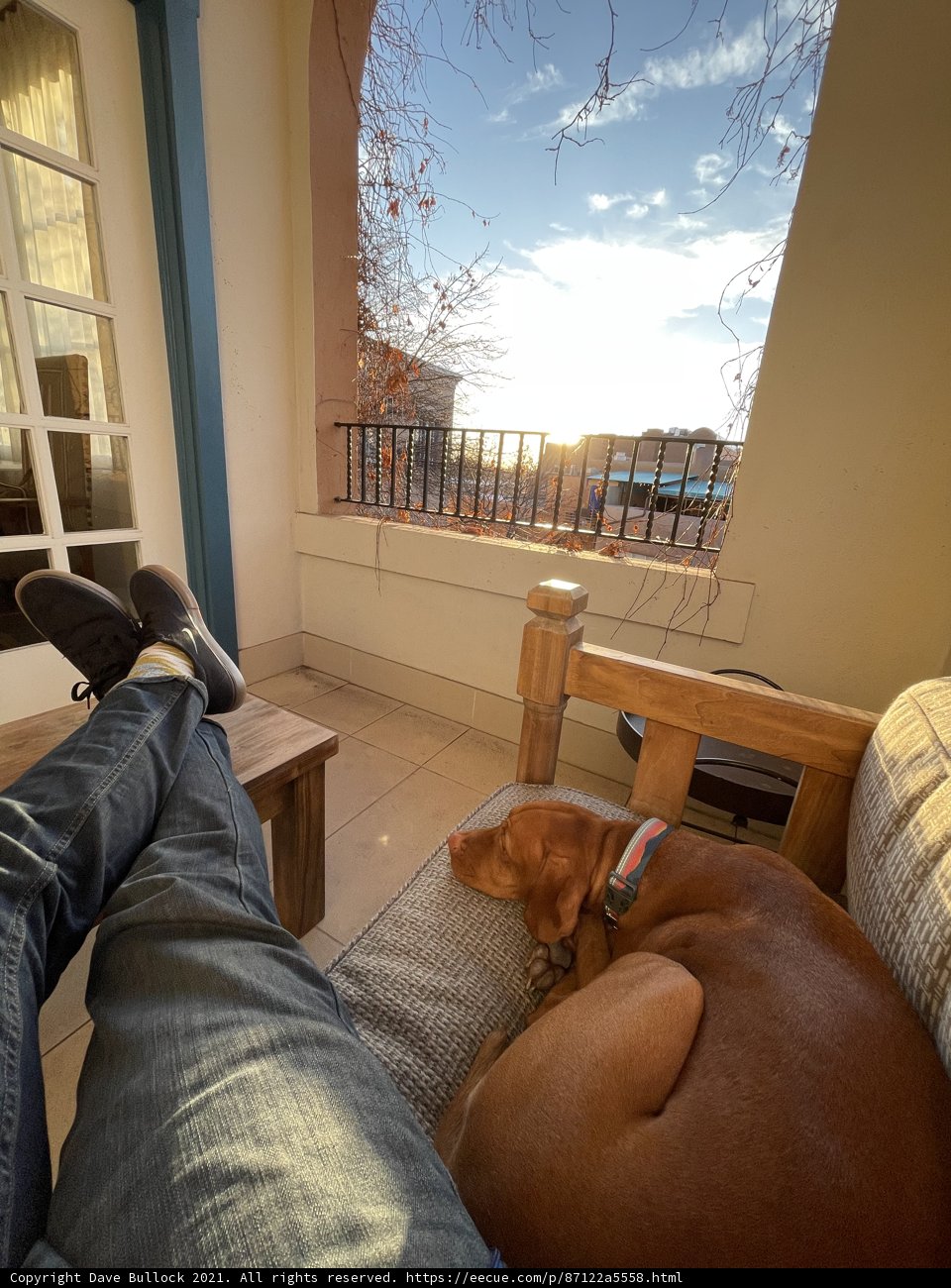 Relaxing on the Couch