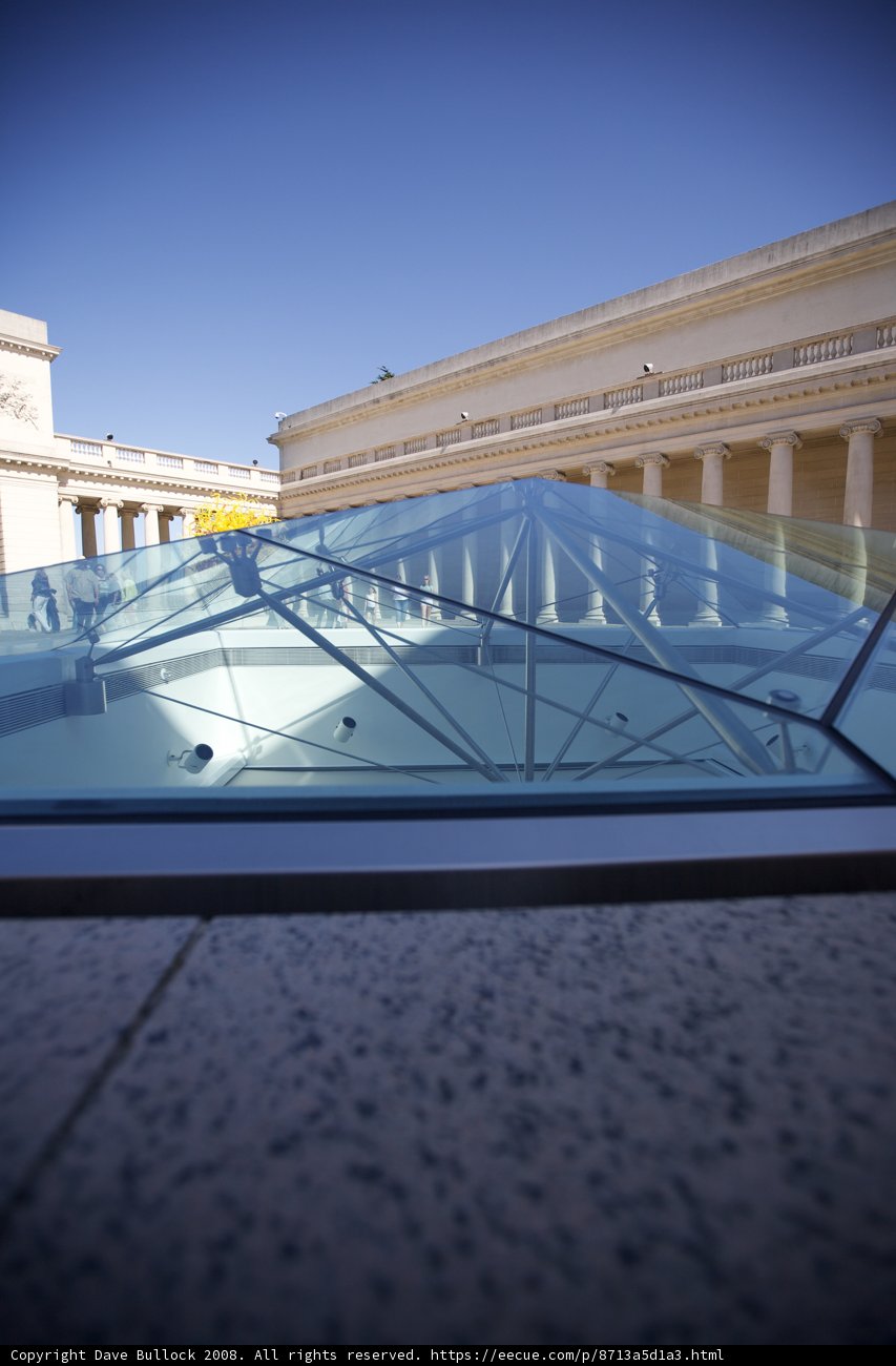 A Glass Oasis in the Urban Jungle